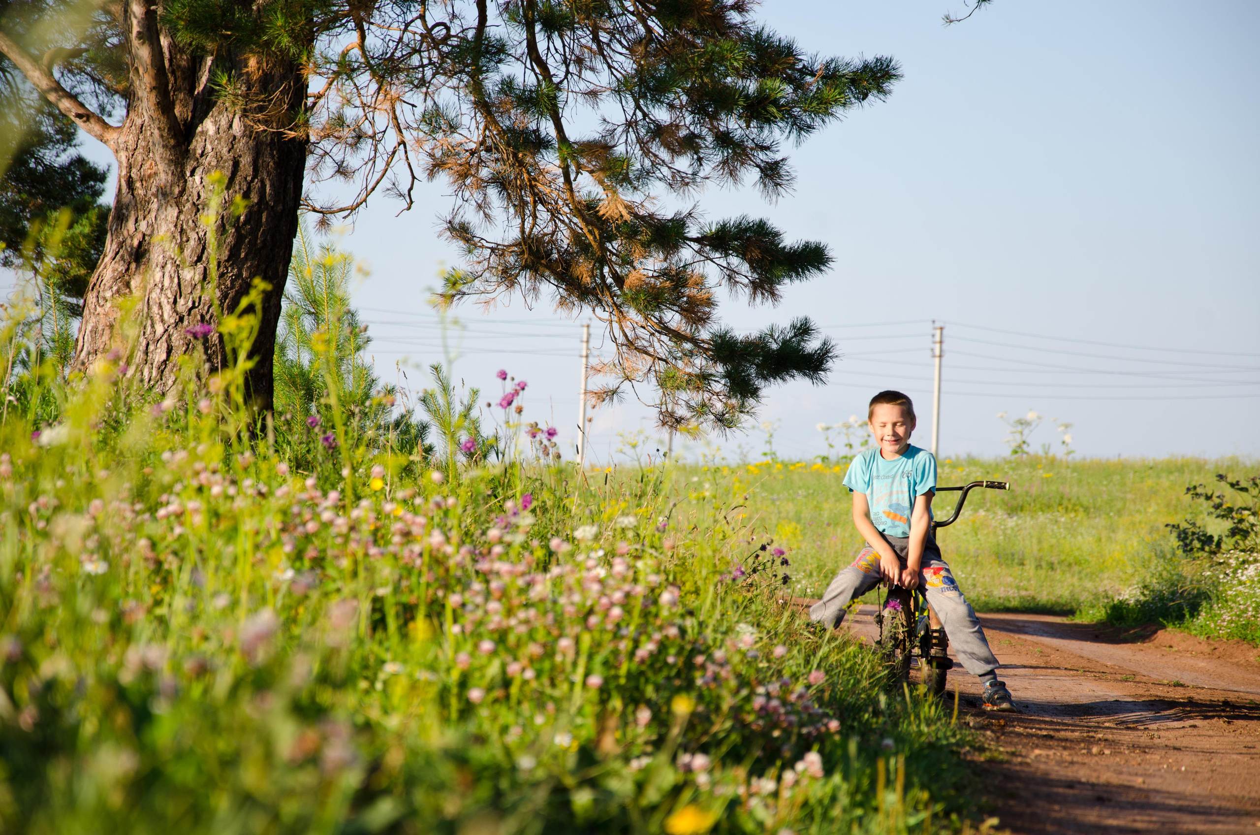 Системы хранения с фасадами из дикого дерева. Авторская фотография. Близнецовые пламёна
