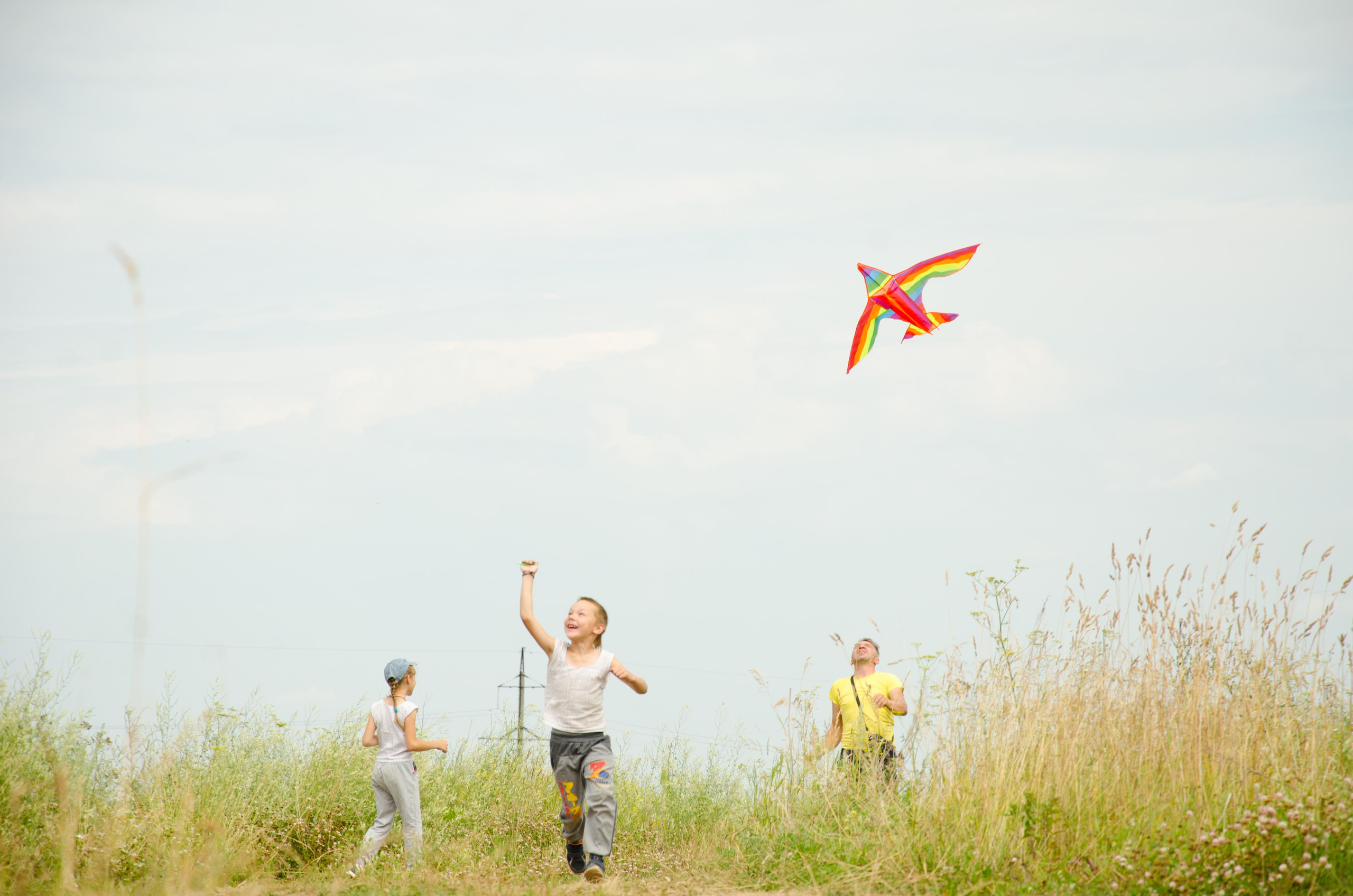 Системы хранения с фасадами из дикого дерева. Авторская фотография. Близнецовые пламёна
