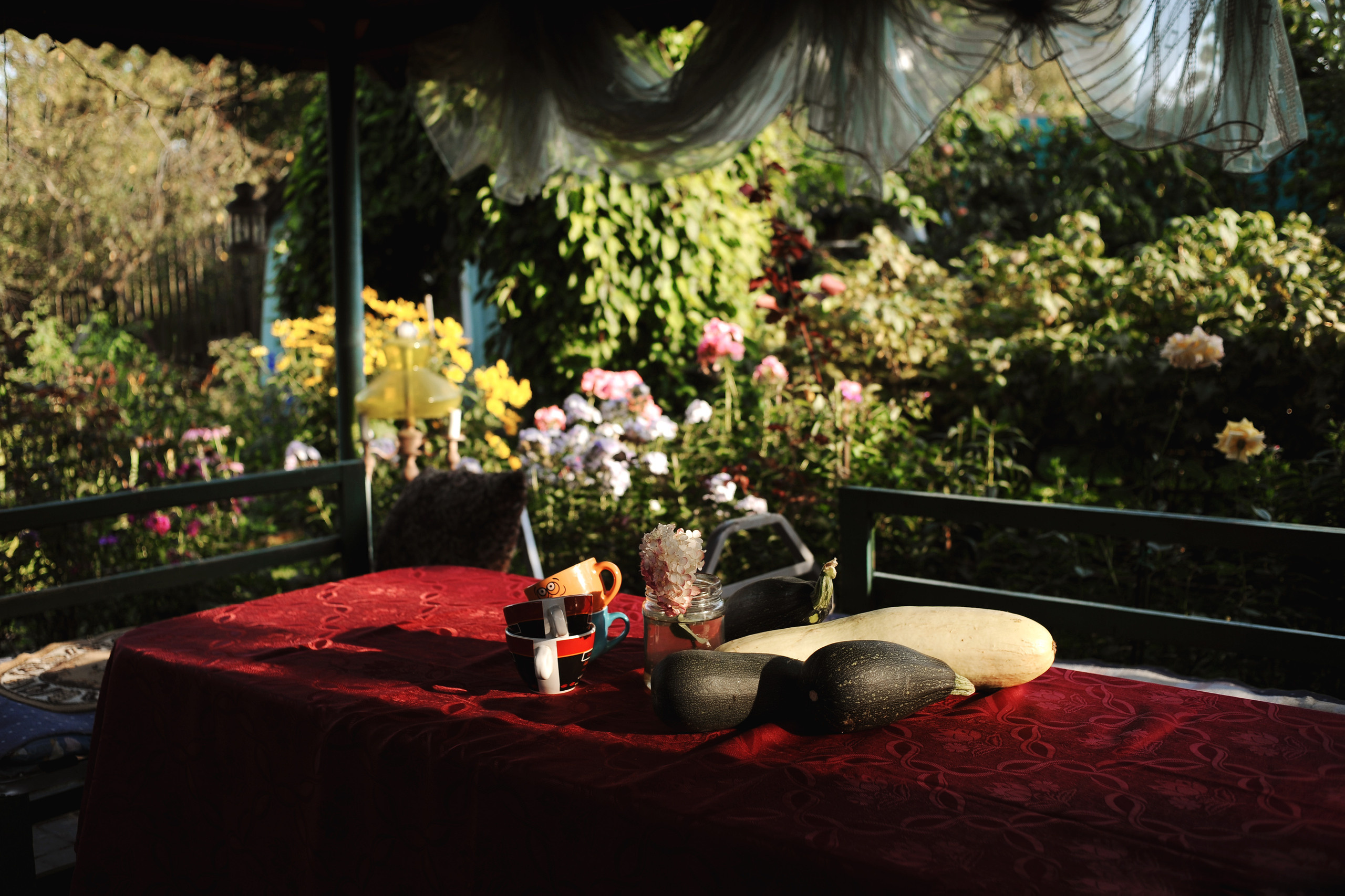 Один день большой семьи. Ваш семейный фотограф