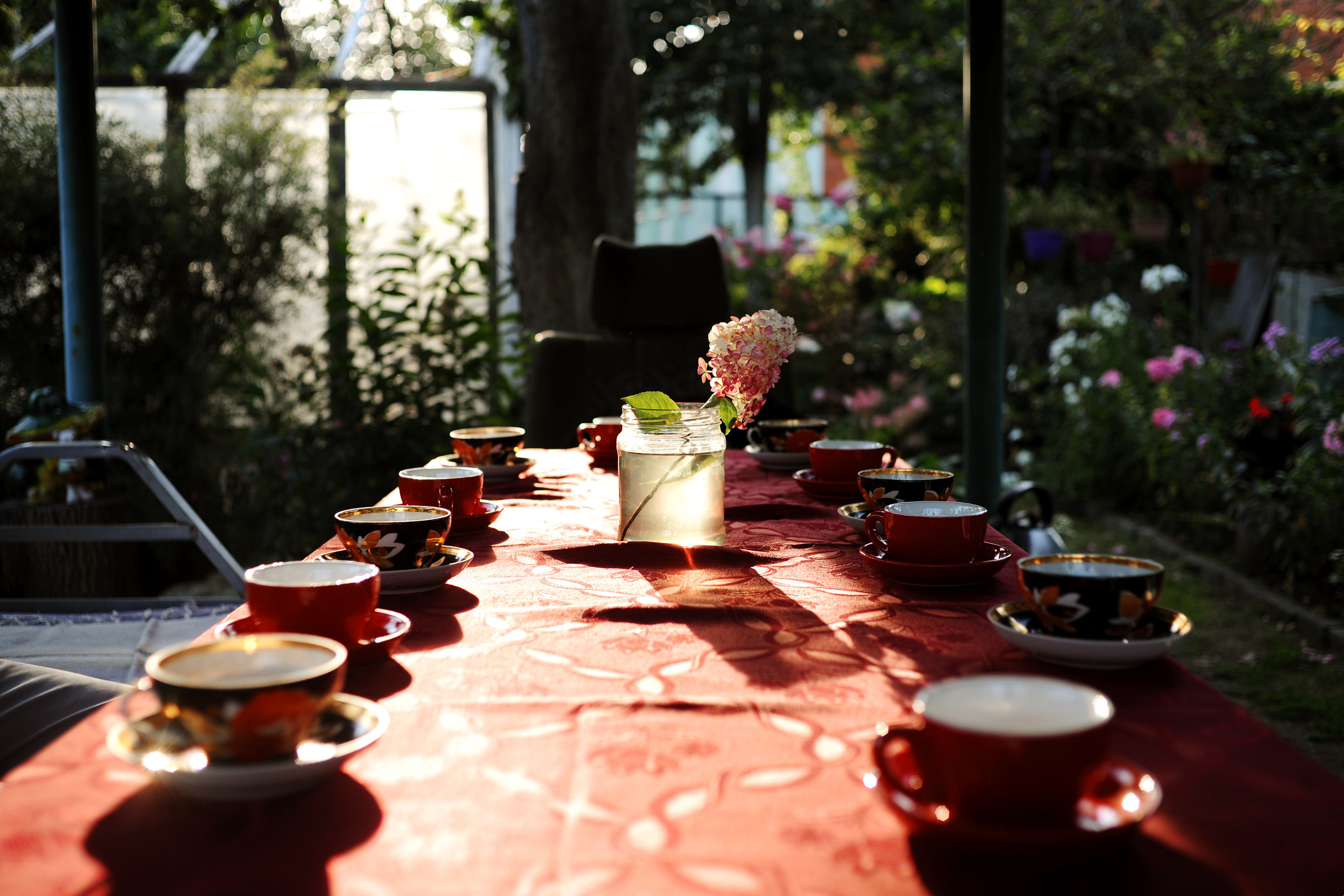 Один день большой семьи. Ваш семейный фотограф
