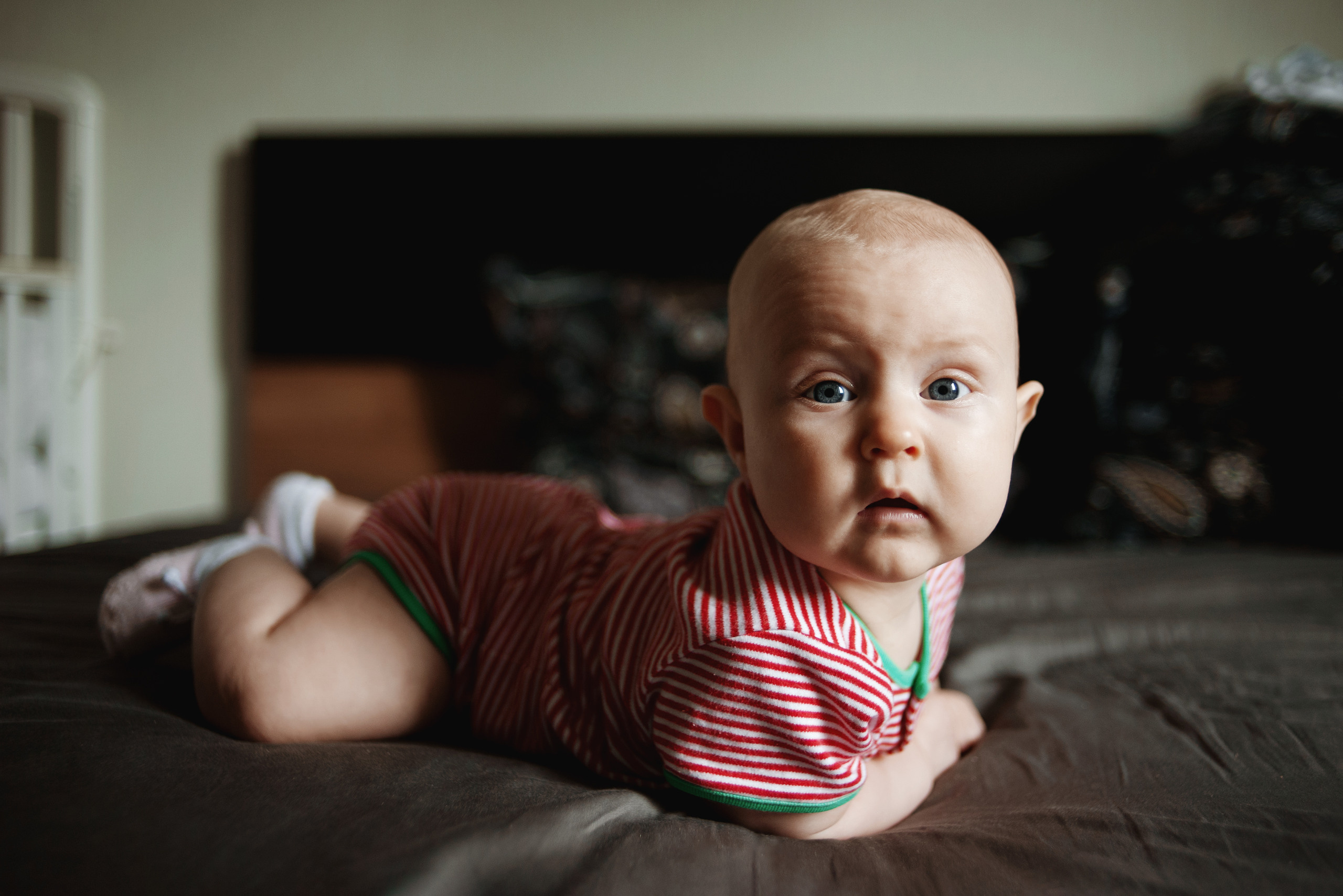 Катя, папа, мама, бабушка. Ваш семейный фотограф