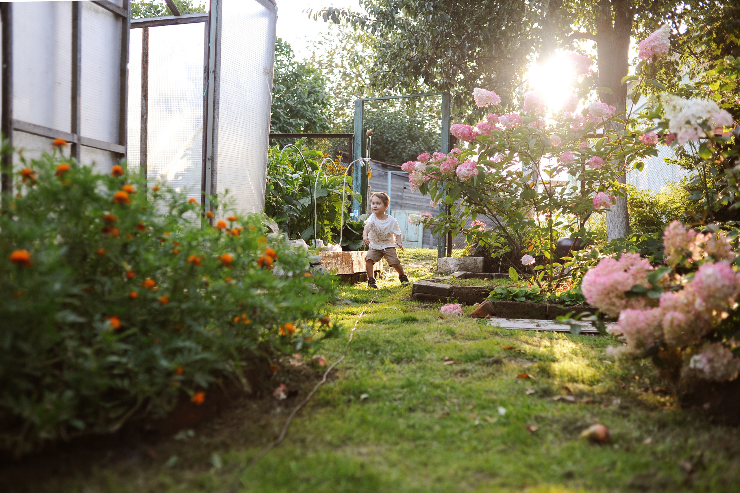 Один день большой семьи. Ваш семейный фотограф