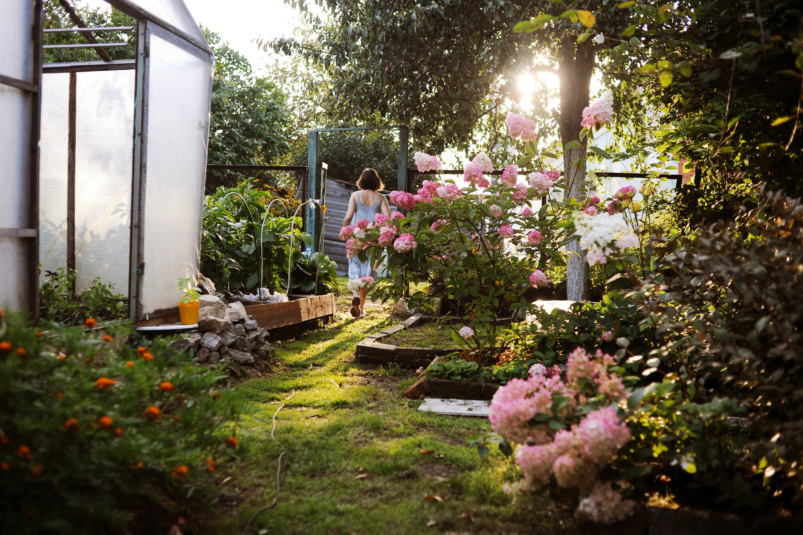 Один день большой семьи. Ваш семейный фотограф