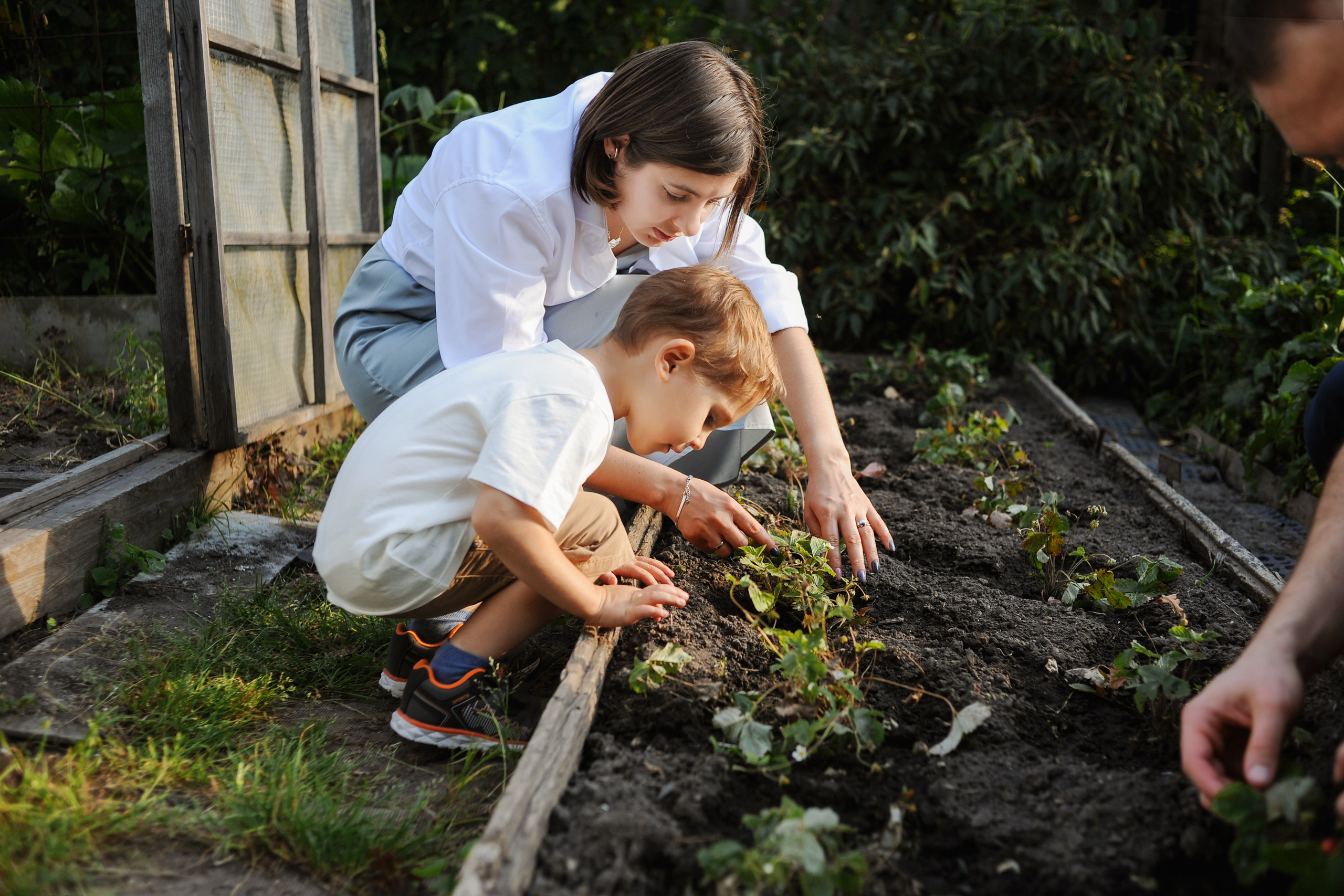Один день большой семьи. Ваш семейный фотограф