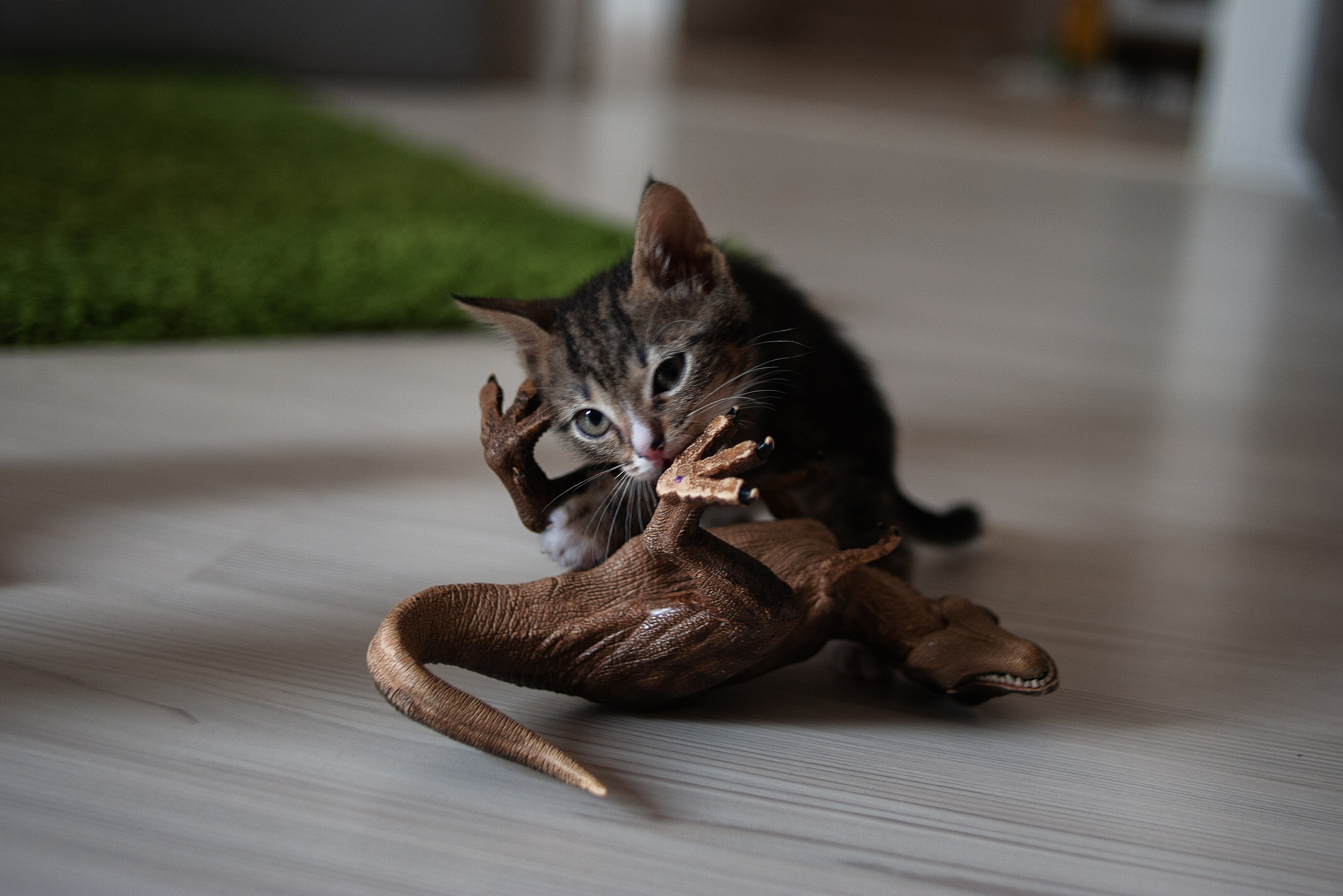 Дом. Ваш семейный фотограф