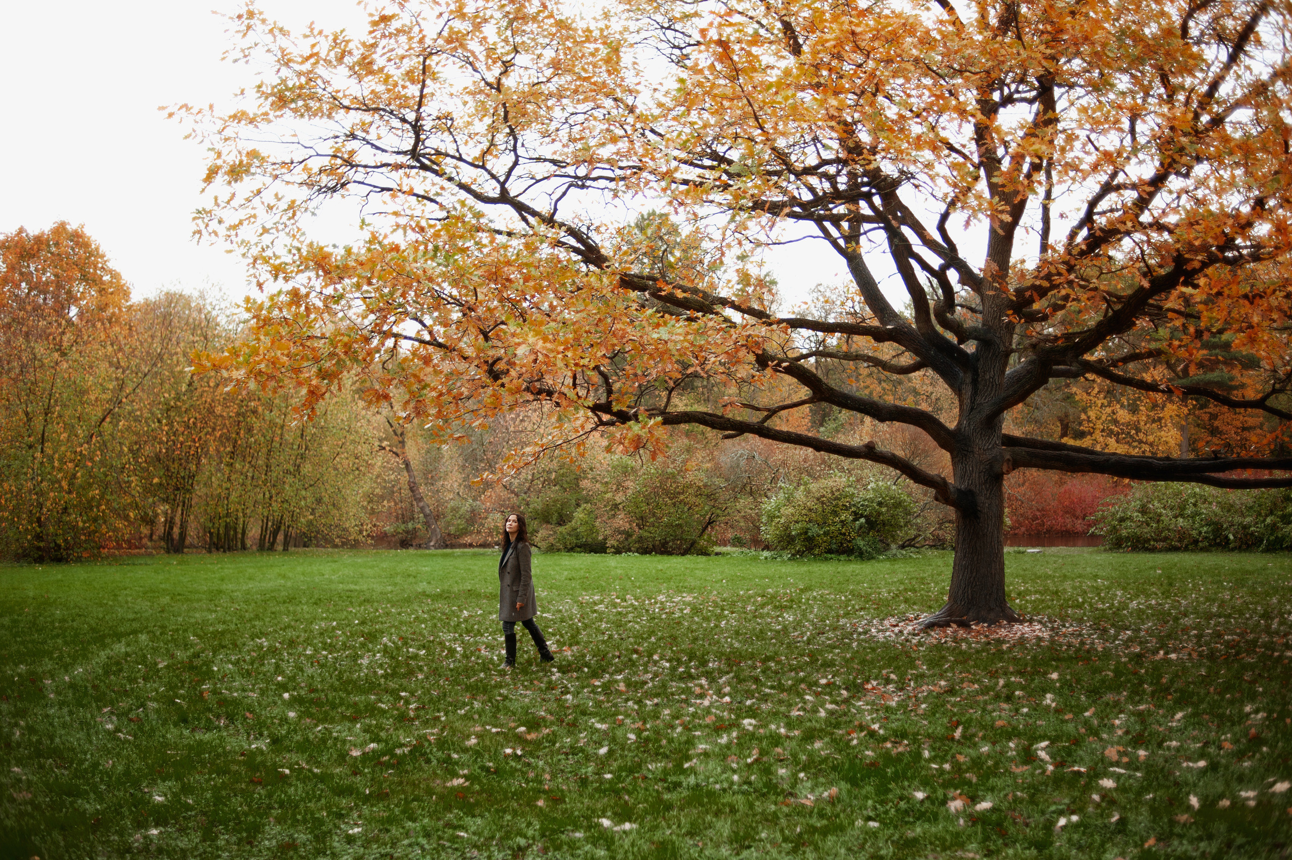Екатерина, осень. Ваш семейный фотограф