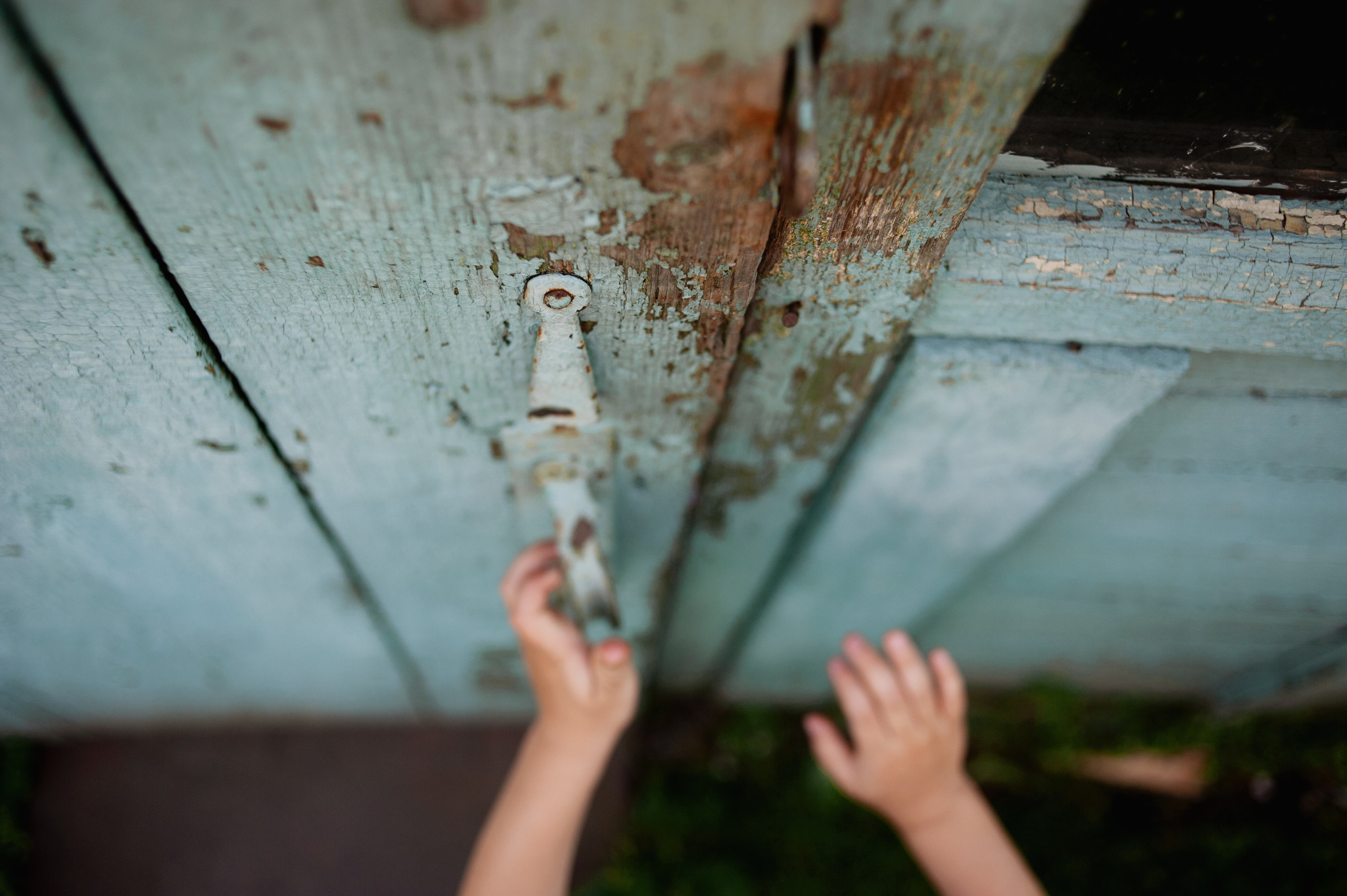 Один день большой семьи. Ваш семейный фотограф