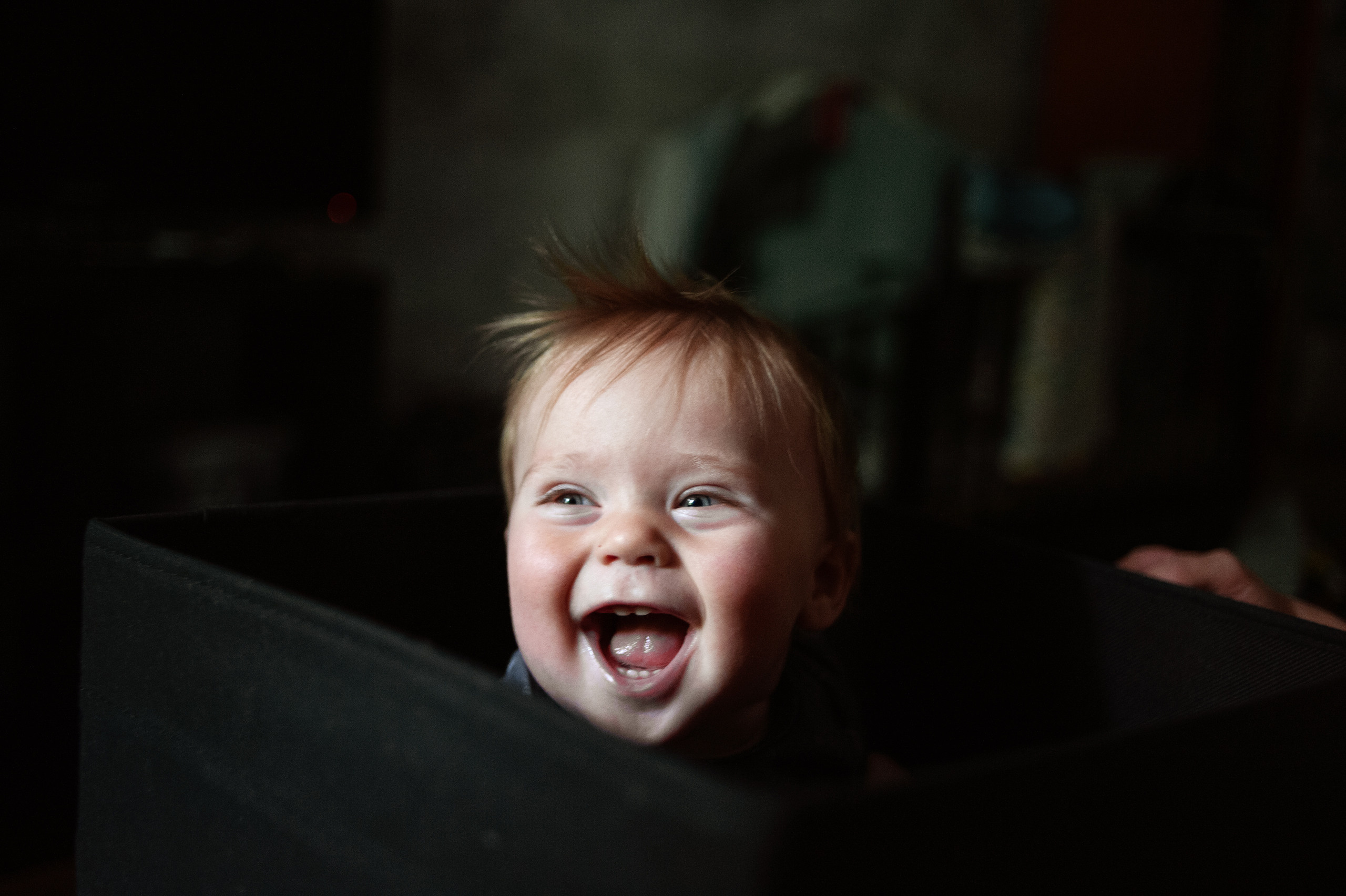 Лука. Ваш семейный фотограф