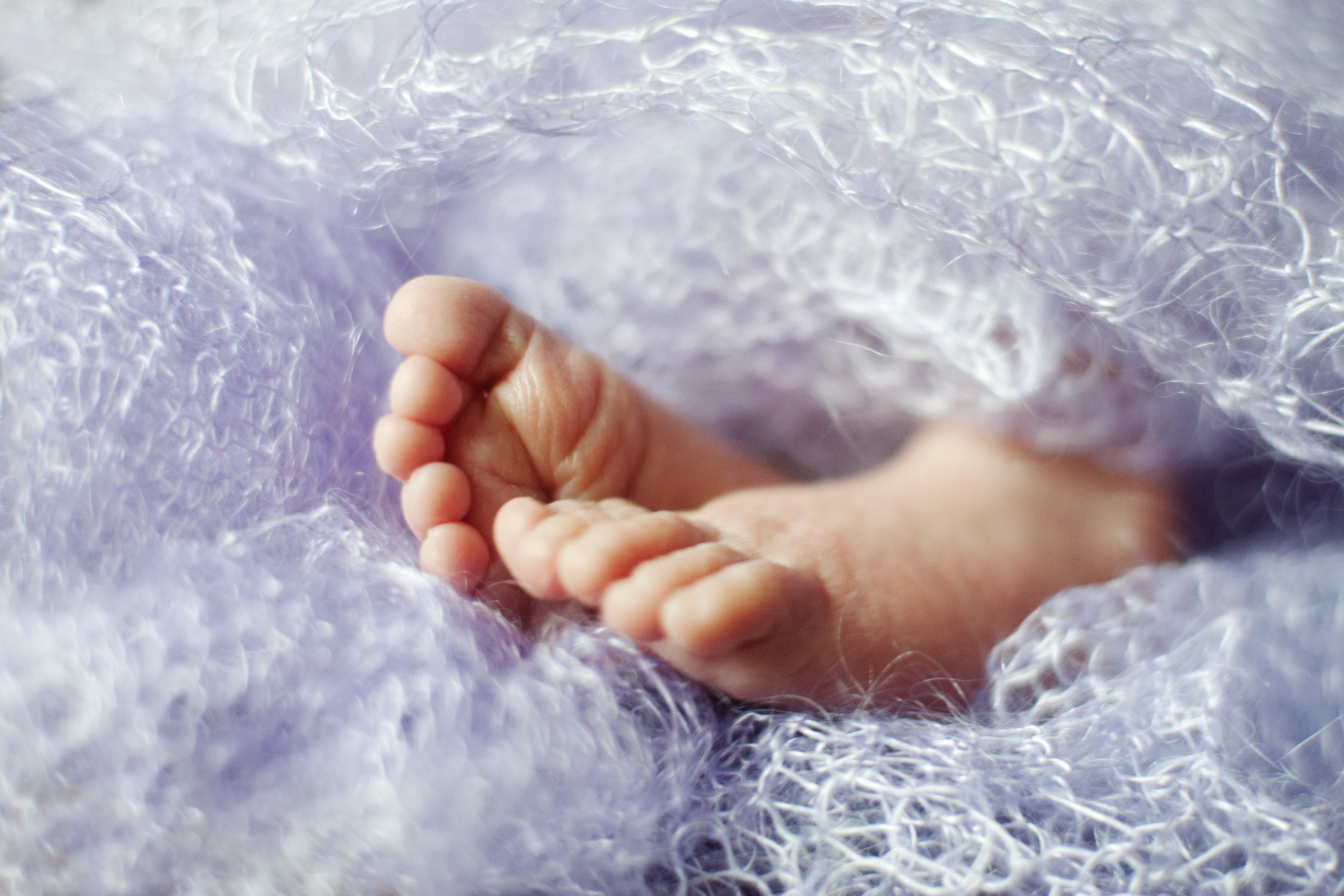 Вова. Newborn. Ваш семейный фотограф