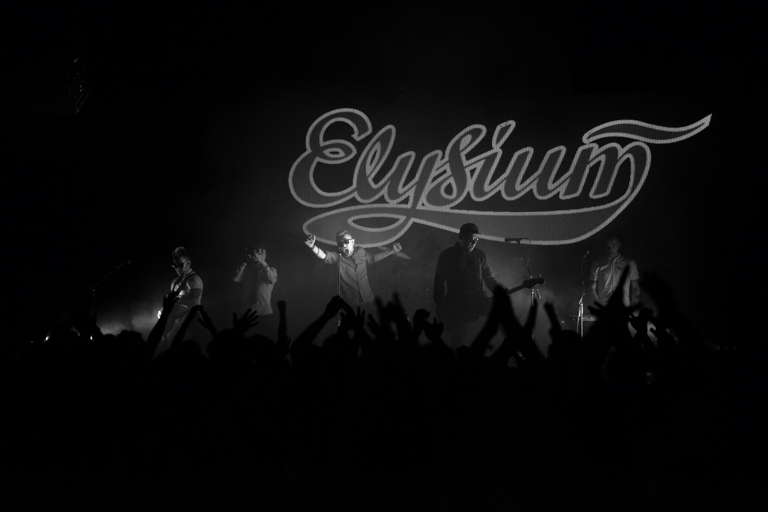 Элизиум. Концерт. Ваш семейный фотограф