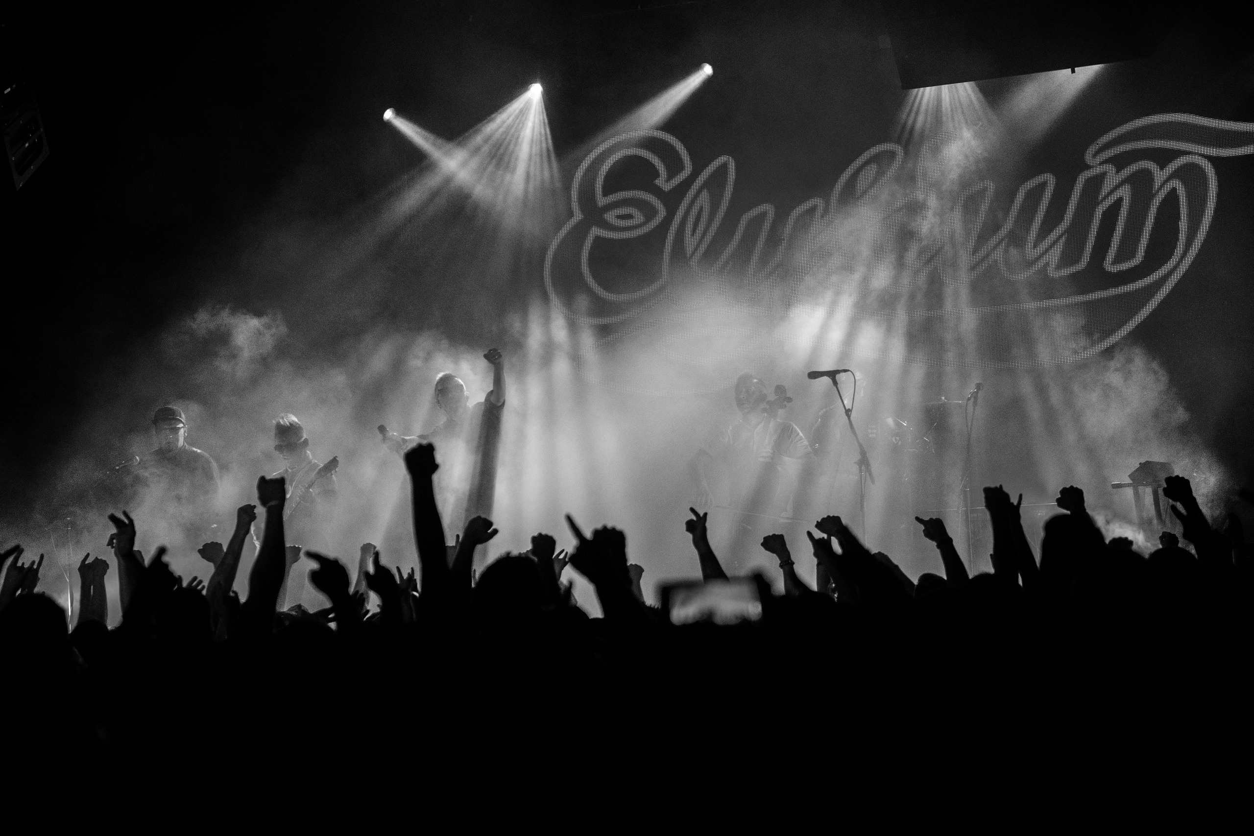 Элизиум. Концерт. Ваш семейный фотограф