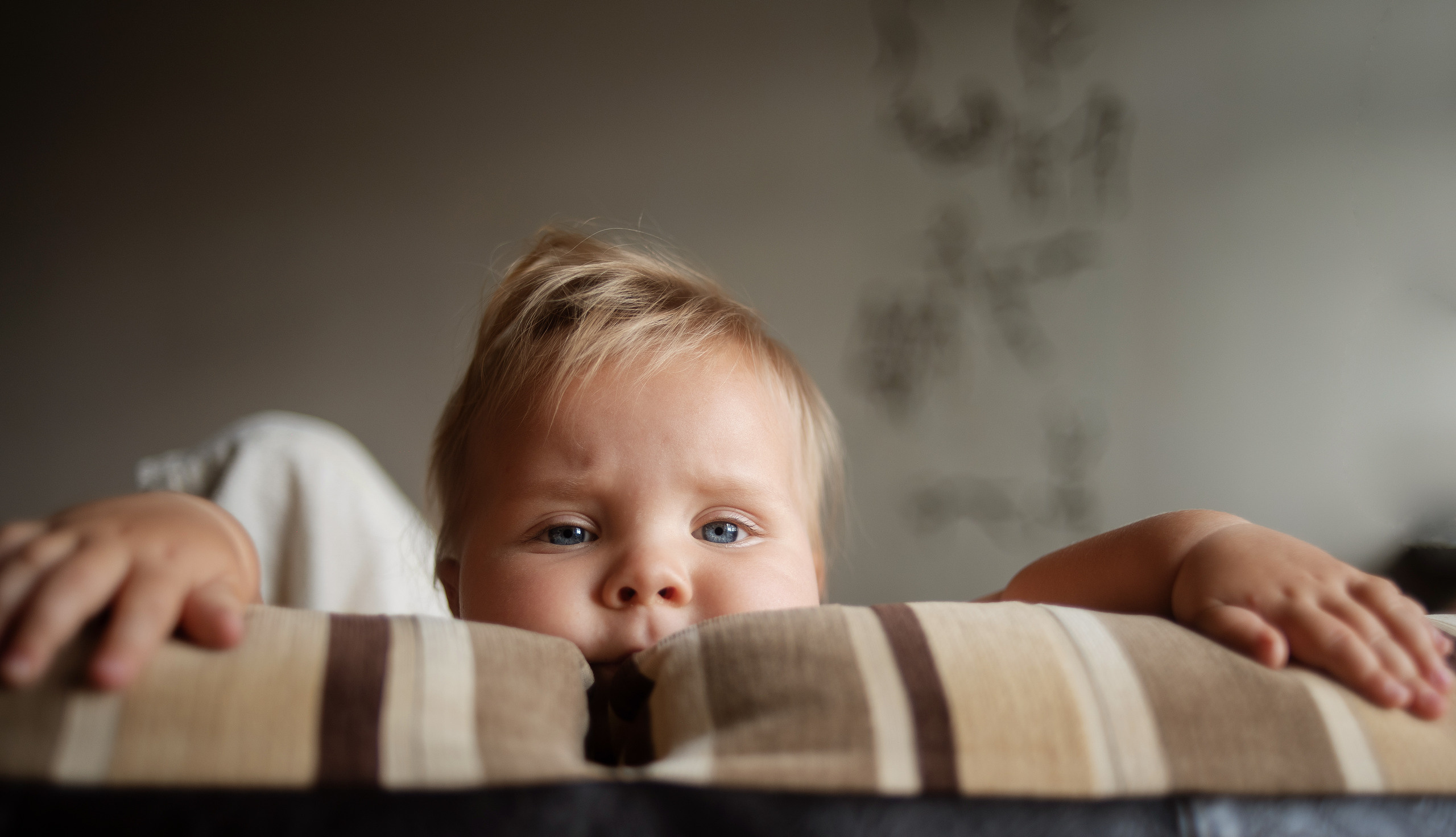 Рада. Радость. Ваш семейный фотограф