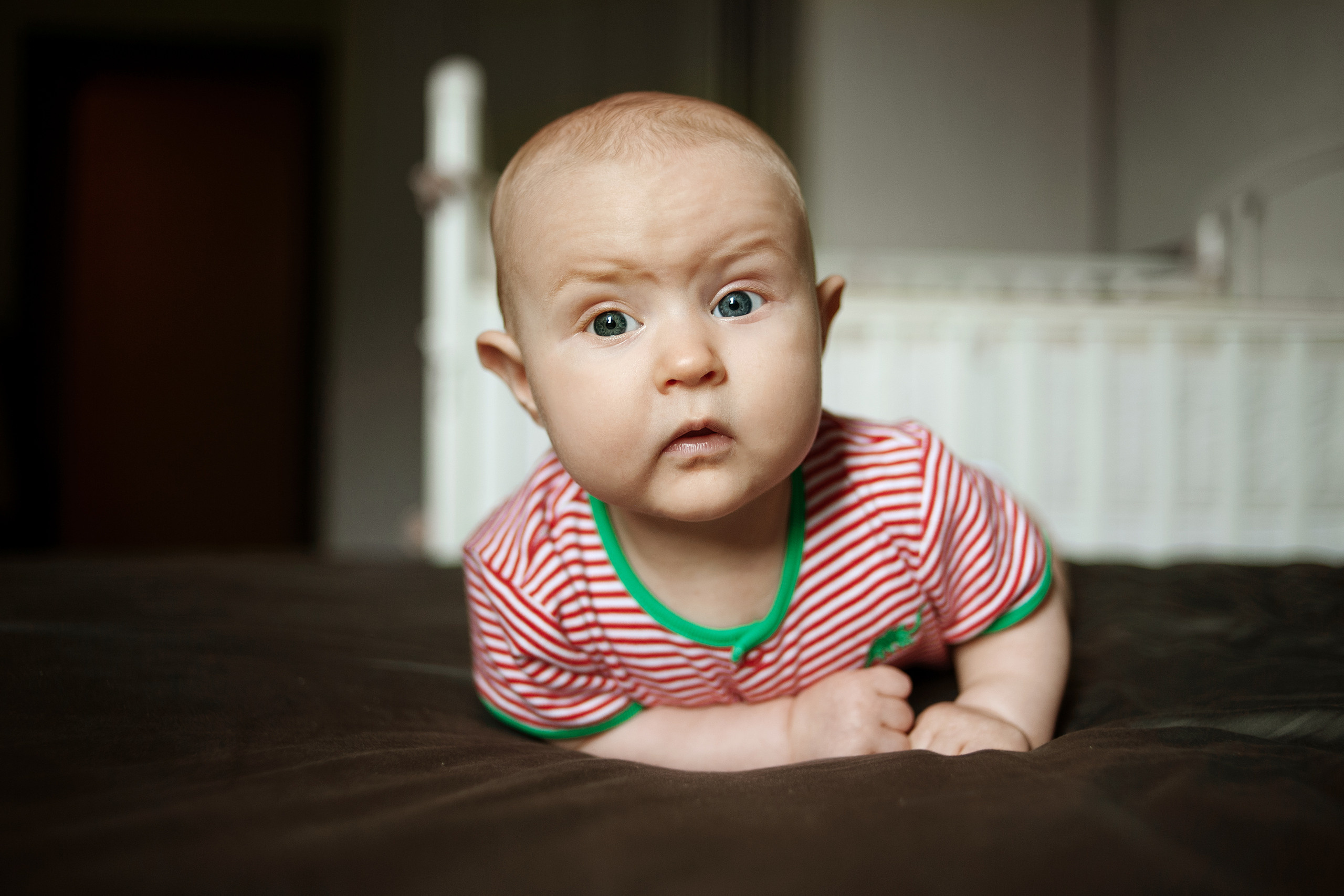 Катя, папа, мама, бабушка. Ваш семейный фотограф