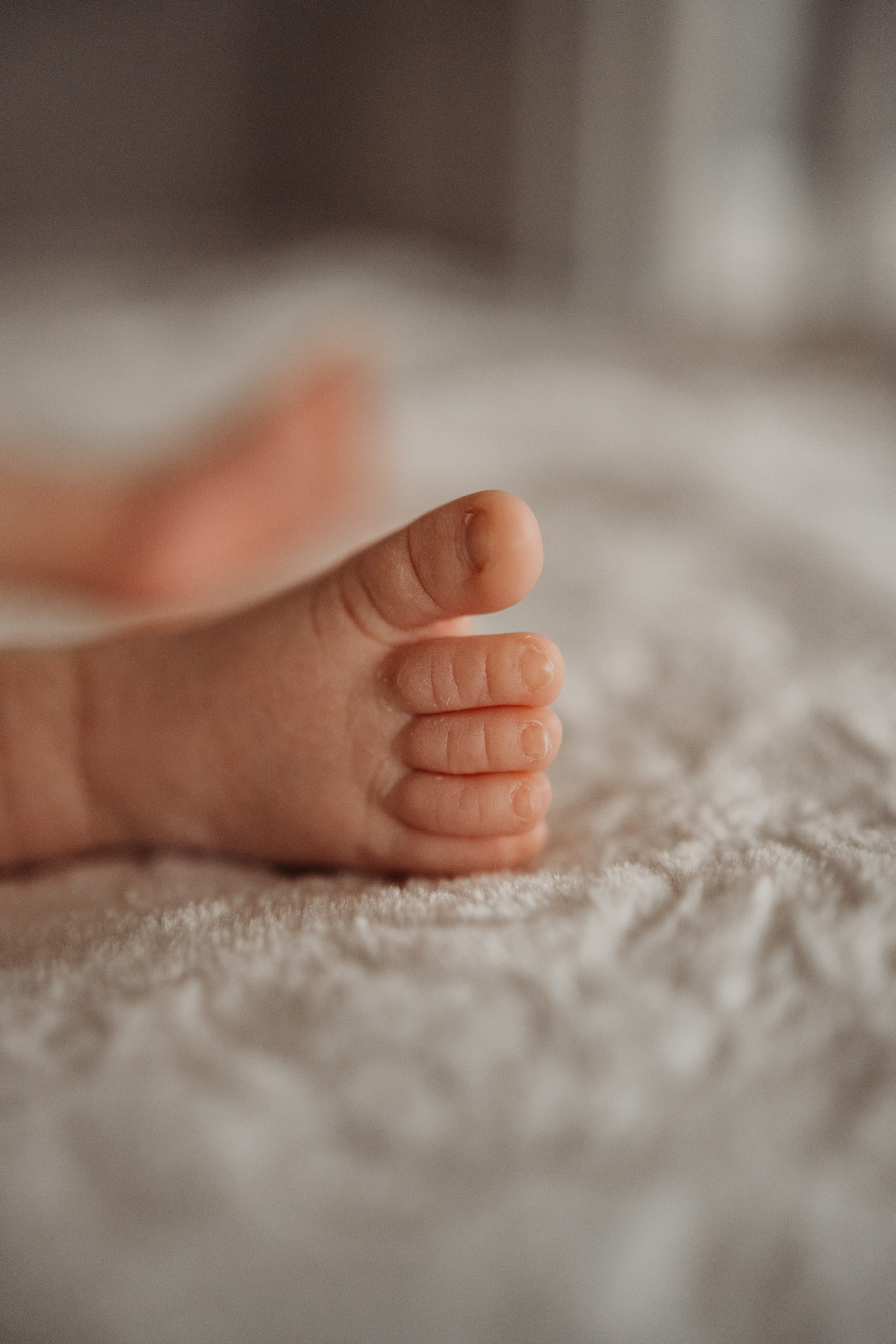 Маша, Лев и Боря. Дьяконова Валерия семейный и детский фотограф в Санкт-Петербурге
