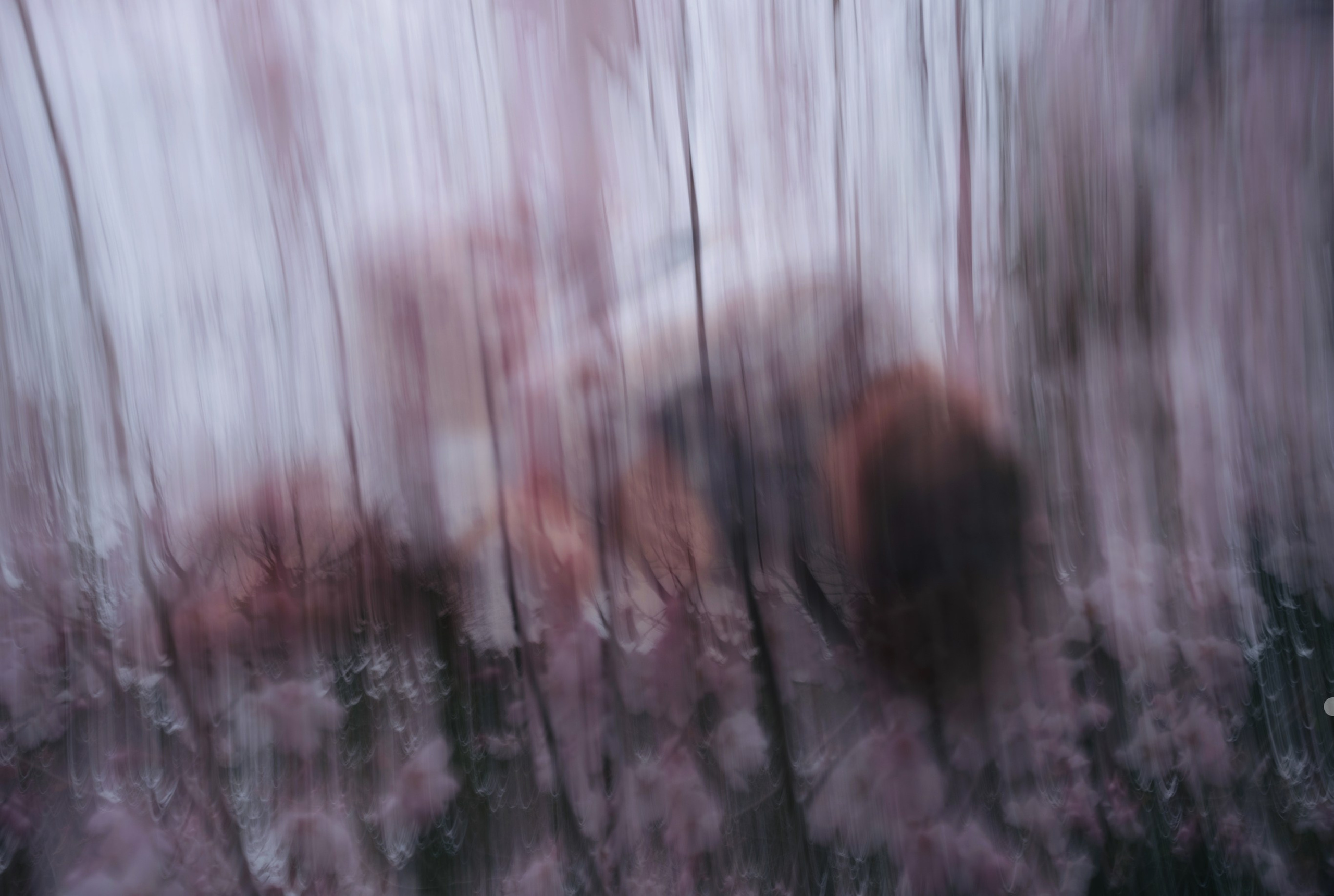 KINDS OF SOLITUDE. International visual artist