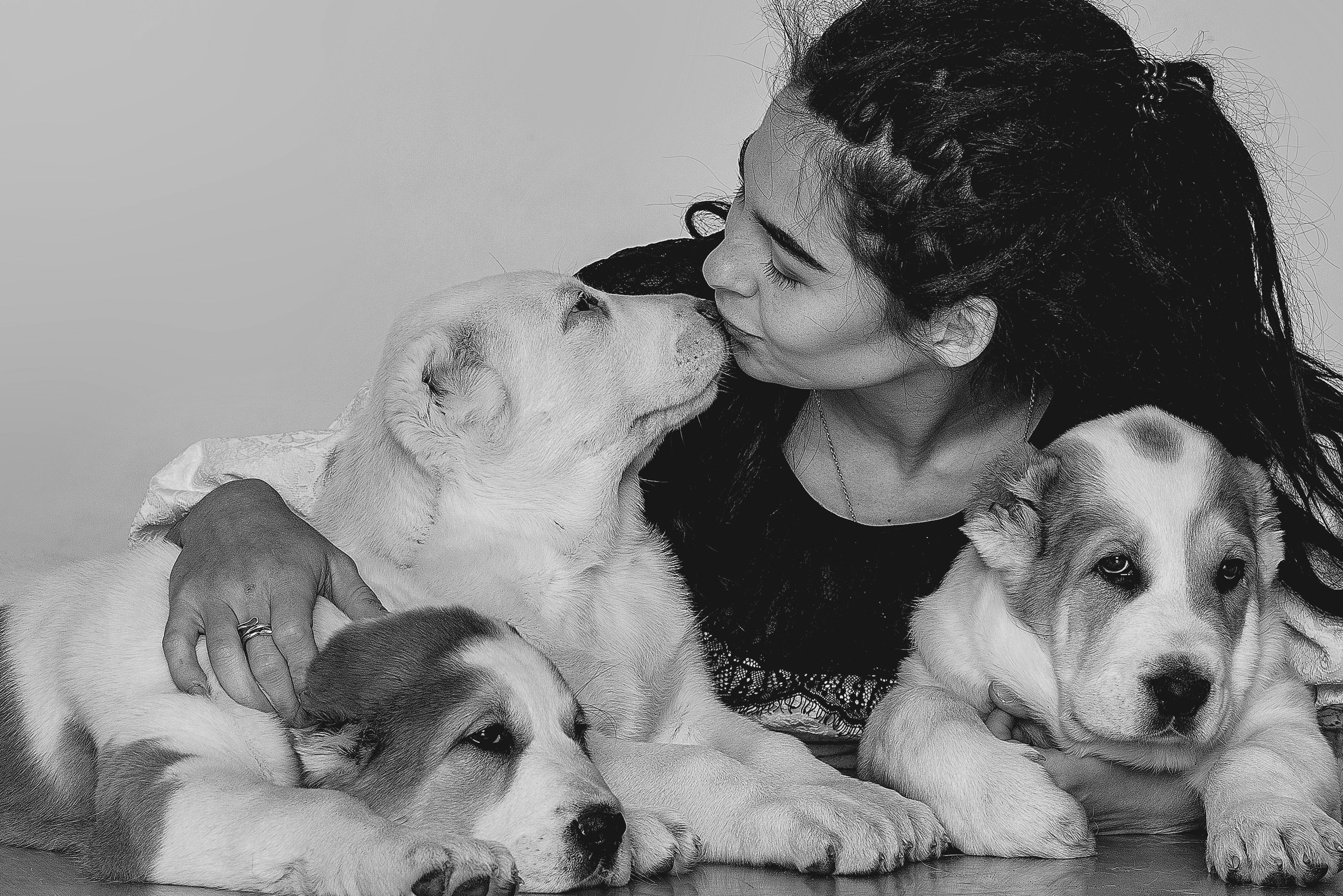 Художественная фотография людей и животных. Фотошкола и фотокурсы в Абакане