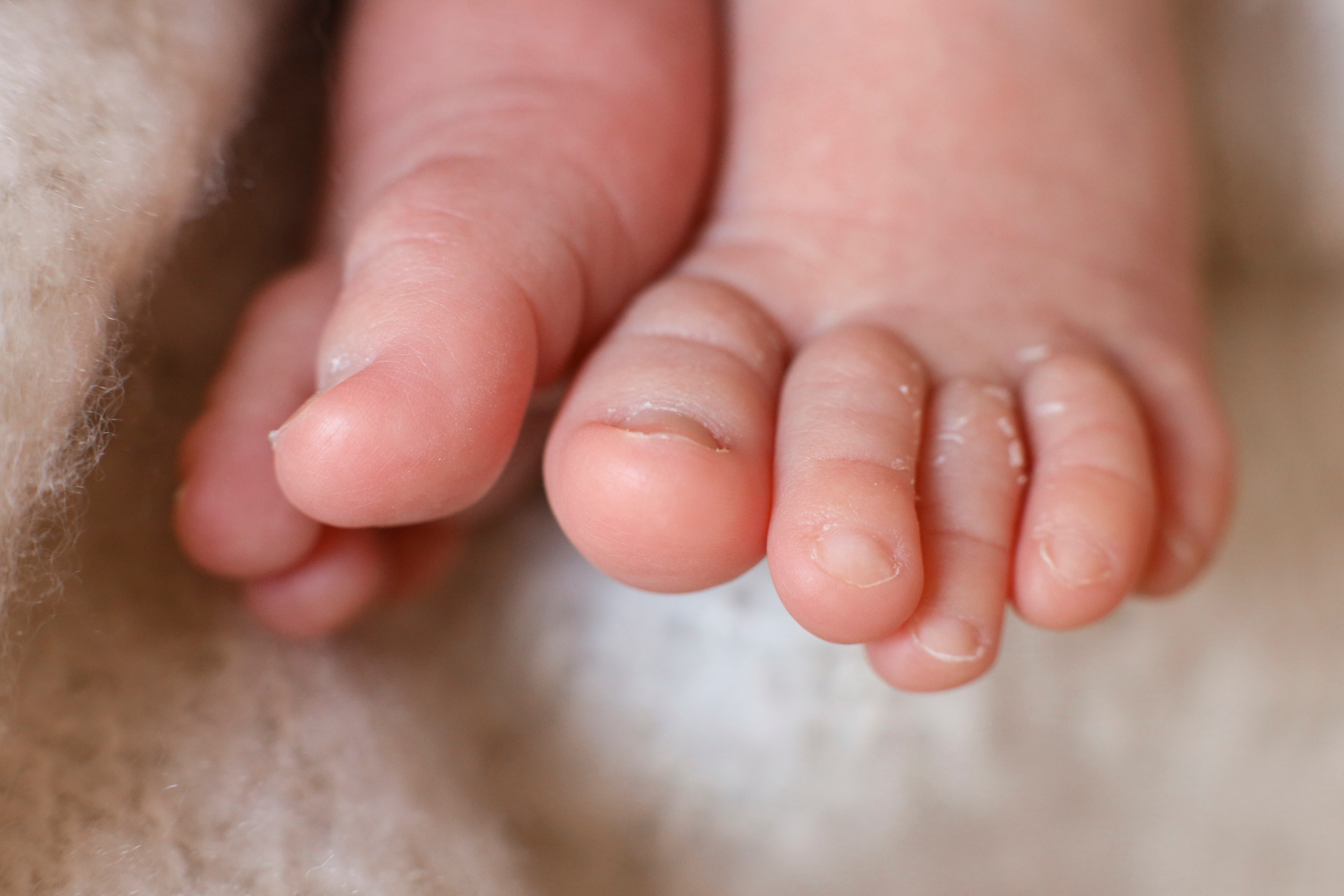 Матвей 10 дней. Семейный фотограф и фотограф новорожденных в Санкт-Петербурге Алина Фе