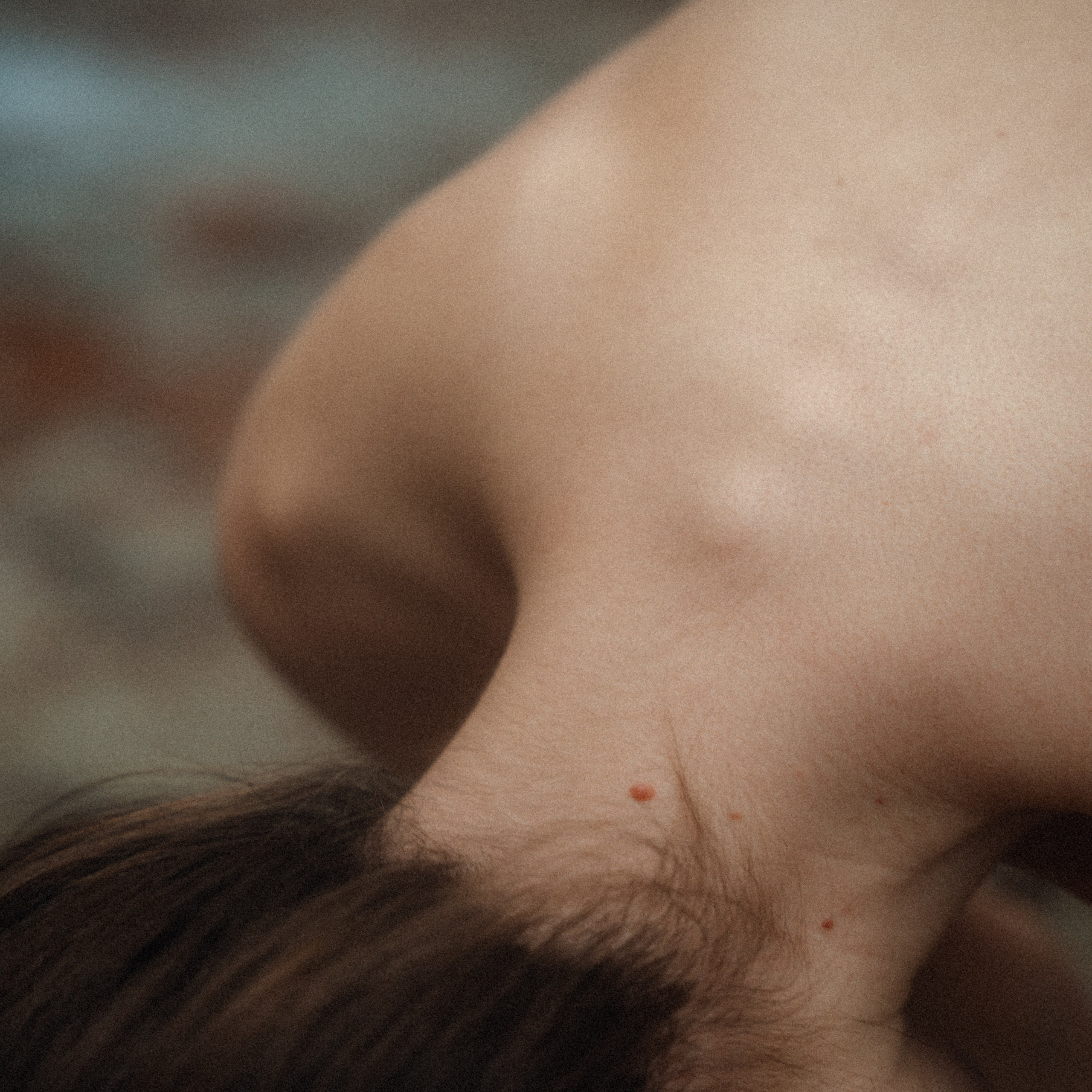 Personality. VISUAL ARTIST · KRONGAUZ ANASTASIA