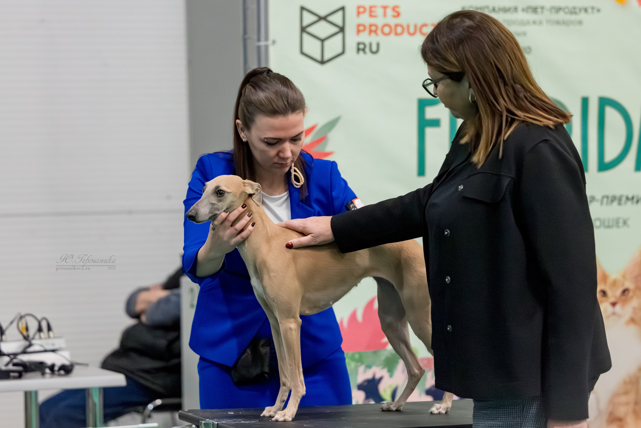 Крокус 21.12.2024,Сфера 29.12.2024. Фотограф-анималист Юлия Германика