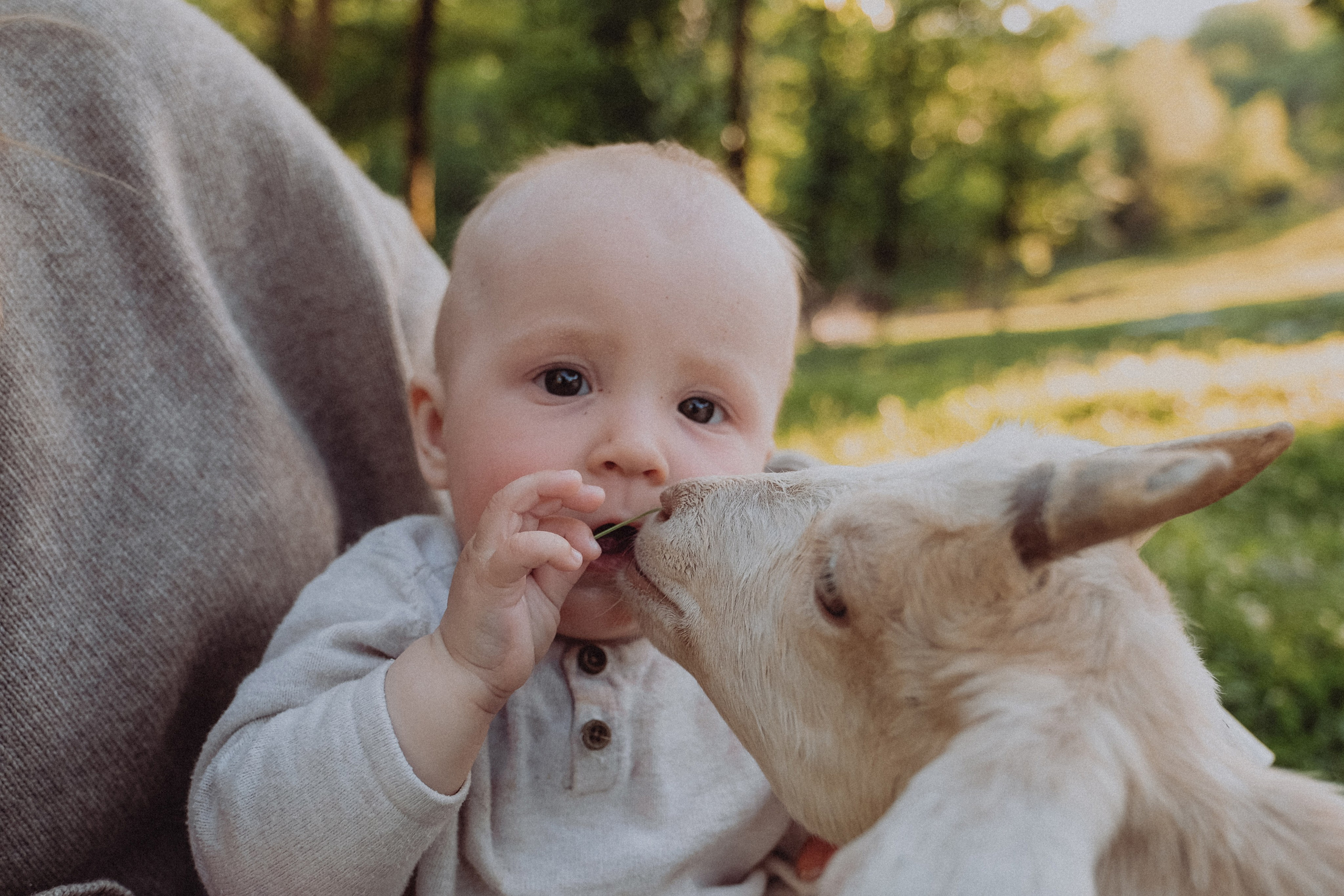 Семья Силуана. Семейный фотограф Москва
