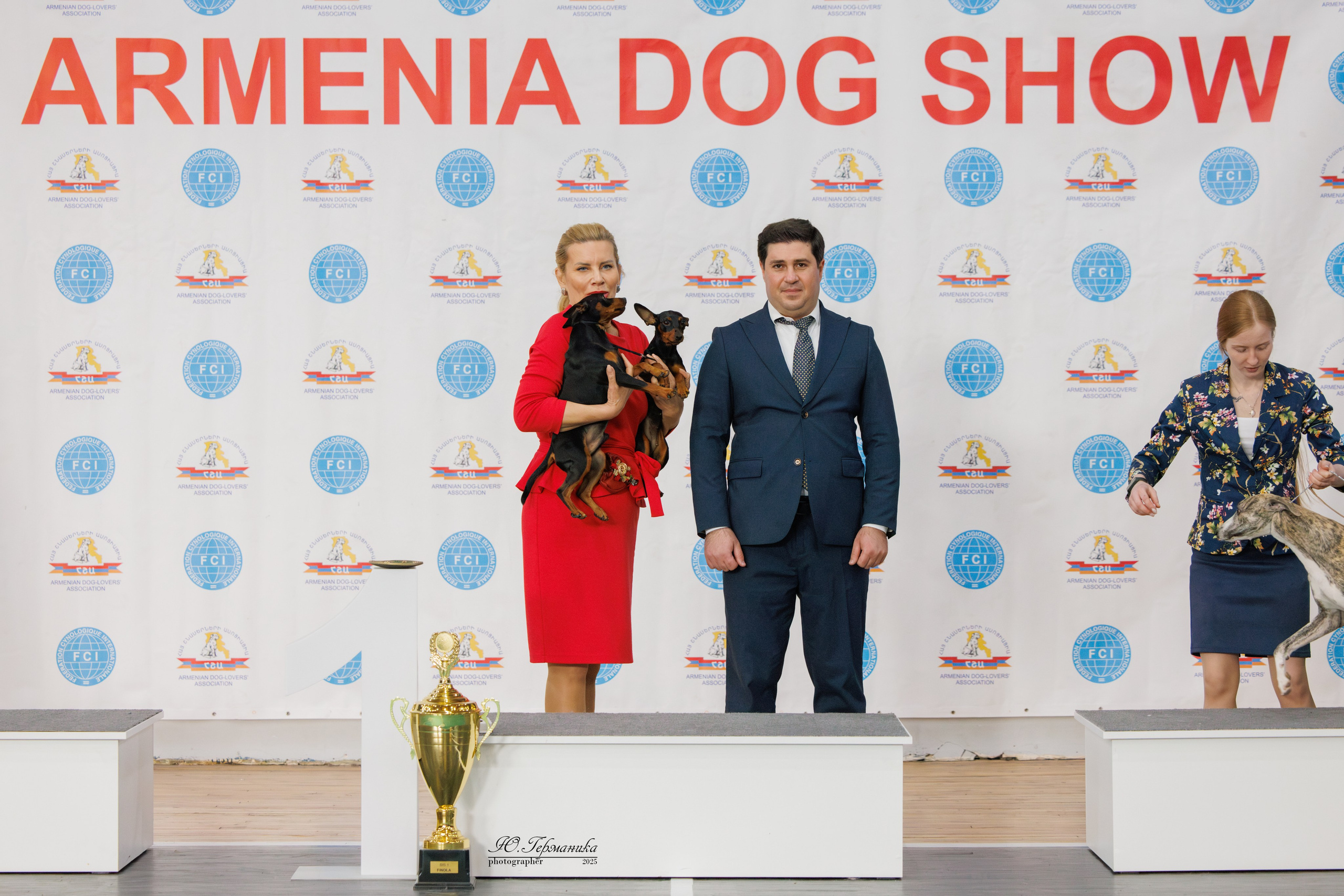 Ереван 2х CACIB 29-30.04.2025. Фотограф-анималист Юлия Германика