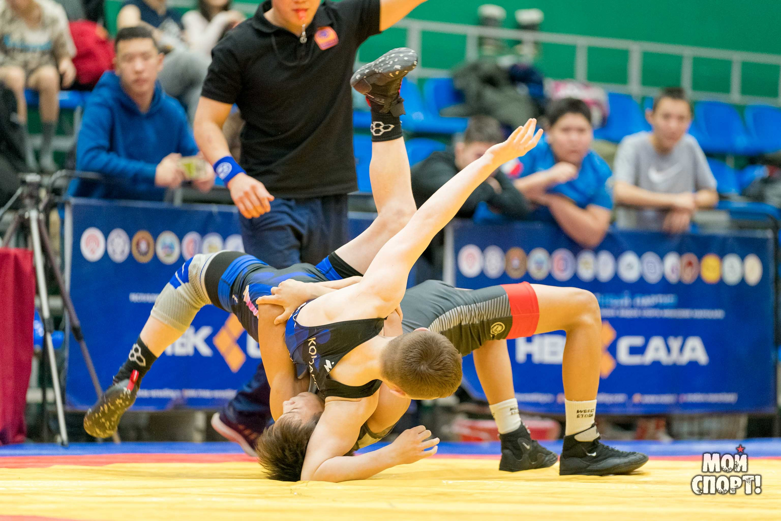 Первенство РС (Я) по греко-римской борьбе пам. Д. Г. Максимова. Студия «Мой Спорт!» — все о спорте в Якутии