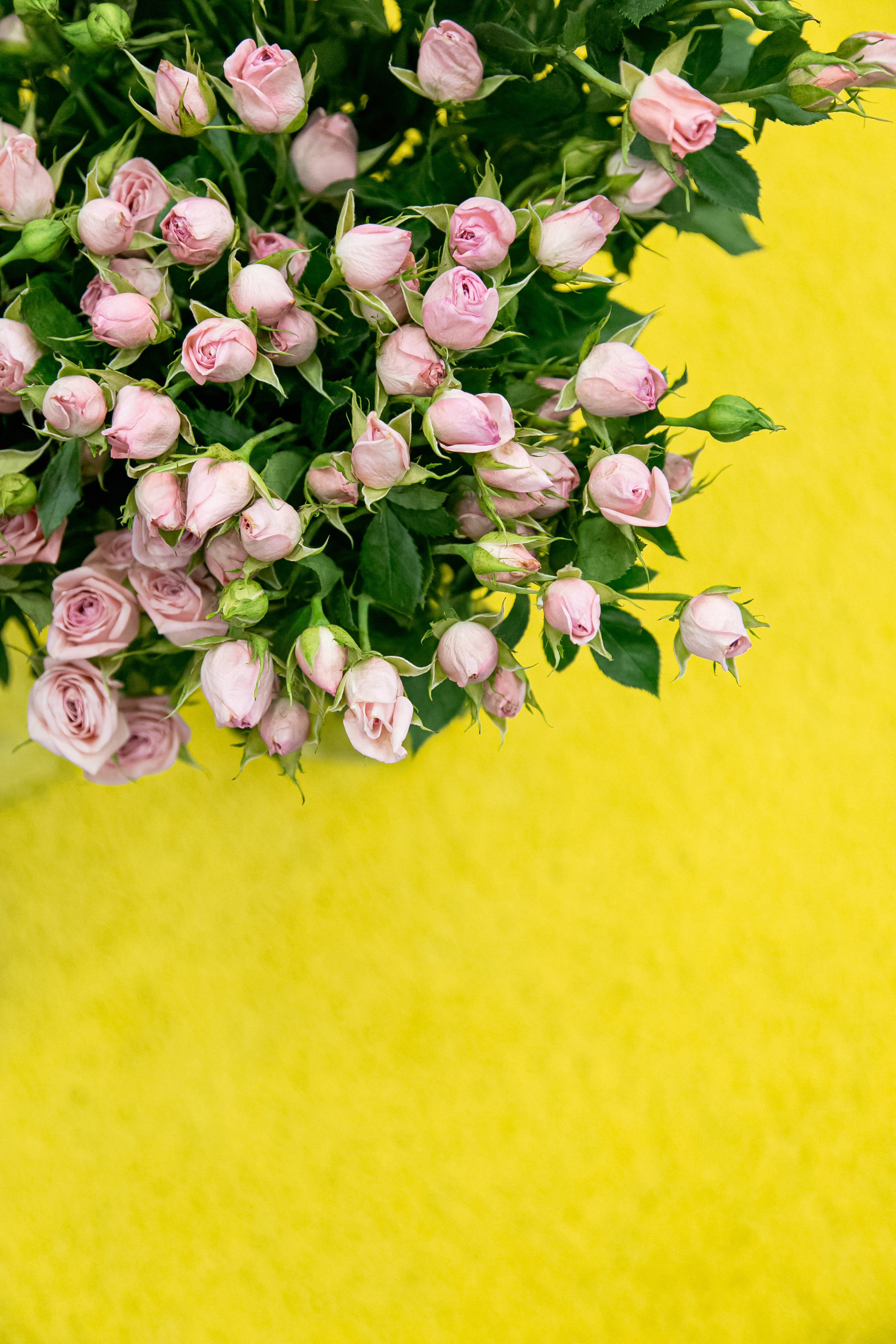 Dom Dизайнеров. Фотограф Иван Гуляев