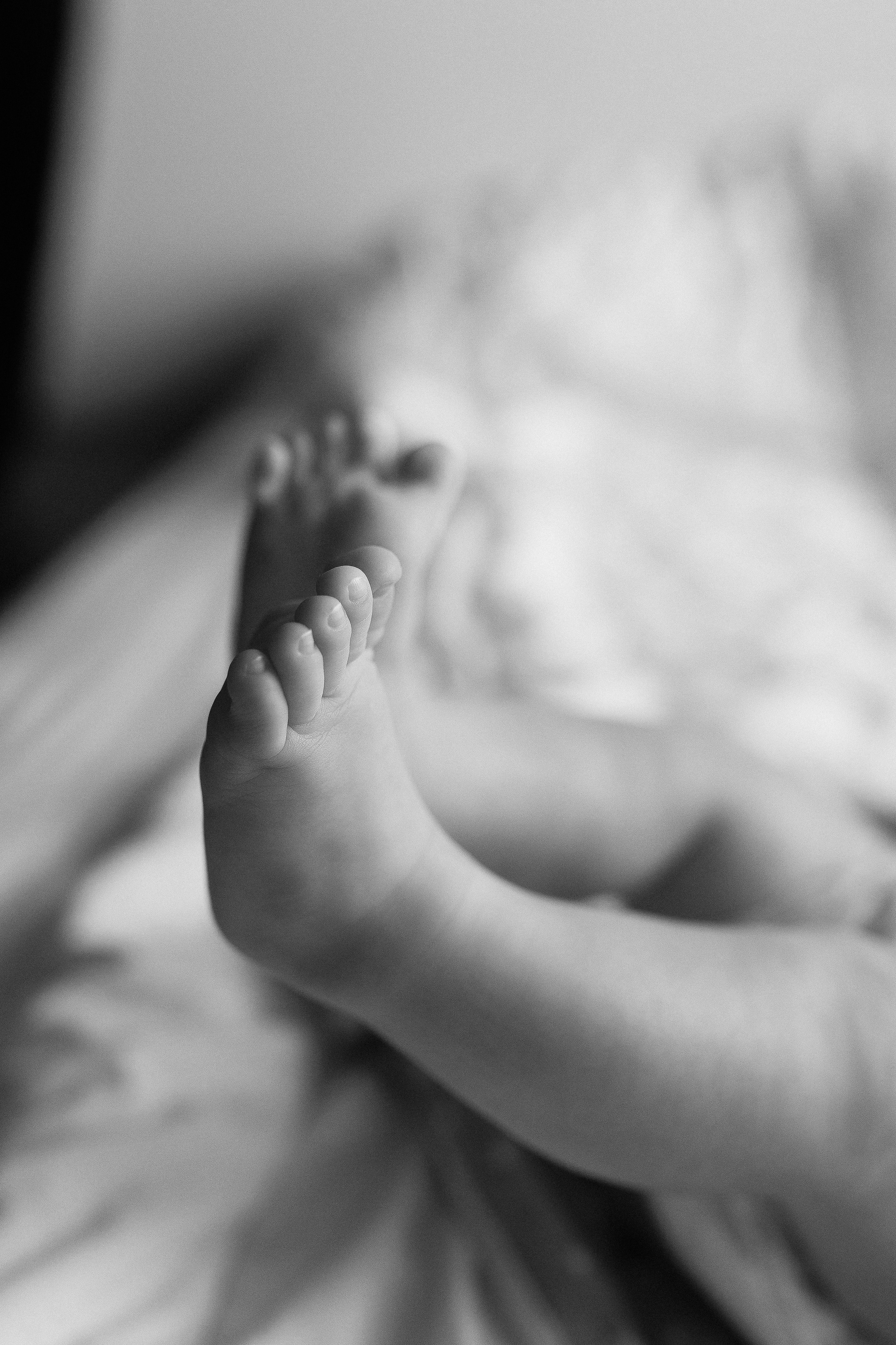 Герман, Елена и Марк. В преддверии Нового года. Настя Оленченко, портретный/семейный фотограф на цифру и плёнку Москва