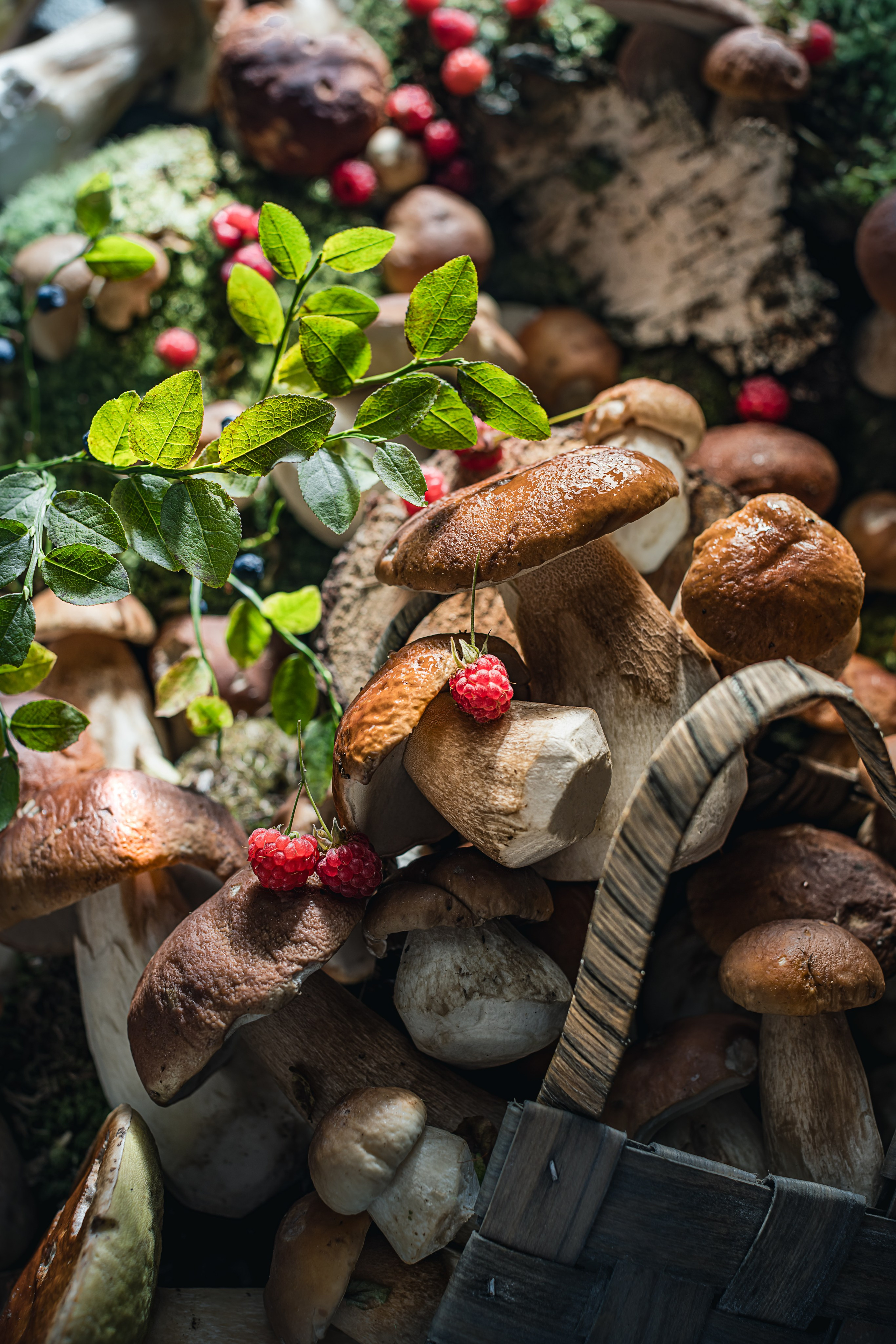 Mushrooms stories «Поляна белых». Foodie Stories (гастрономические истории) рекламная фуд-фотосъёмка, Москва