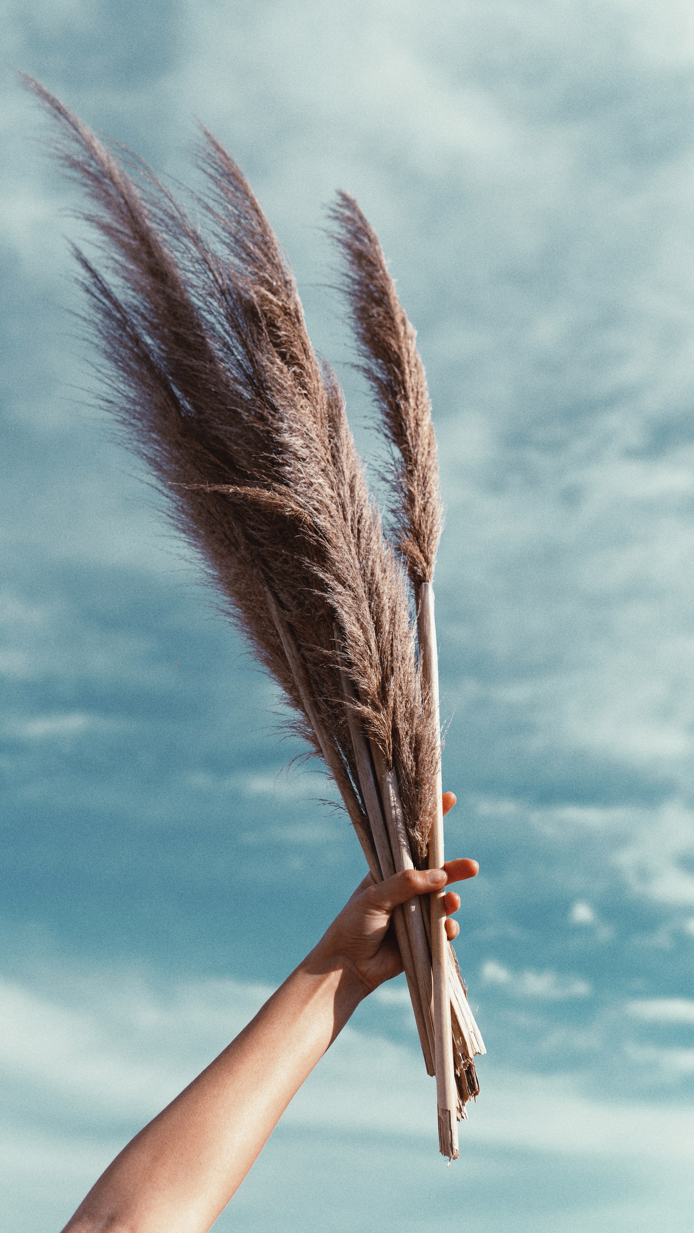 Фотограф в Москве Александр Иванов