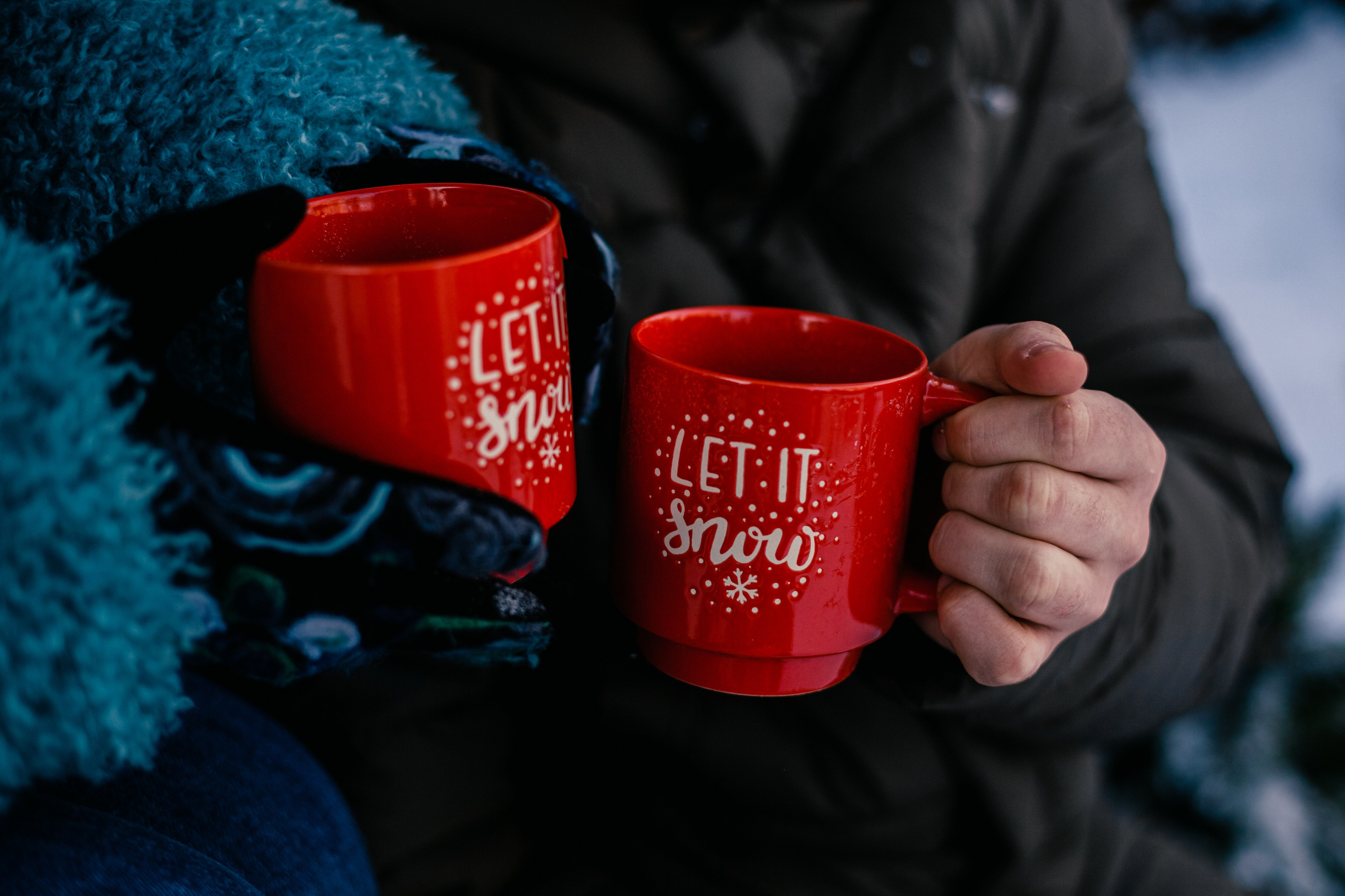 Зингер дача. Фотограф-анималист Татьяна Степанова