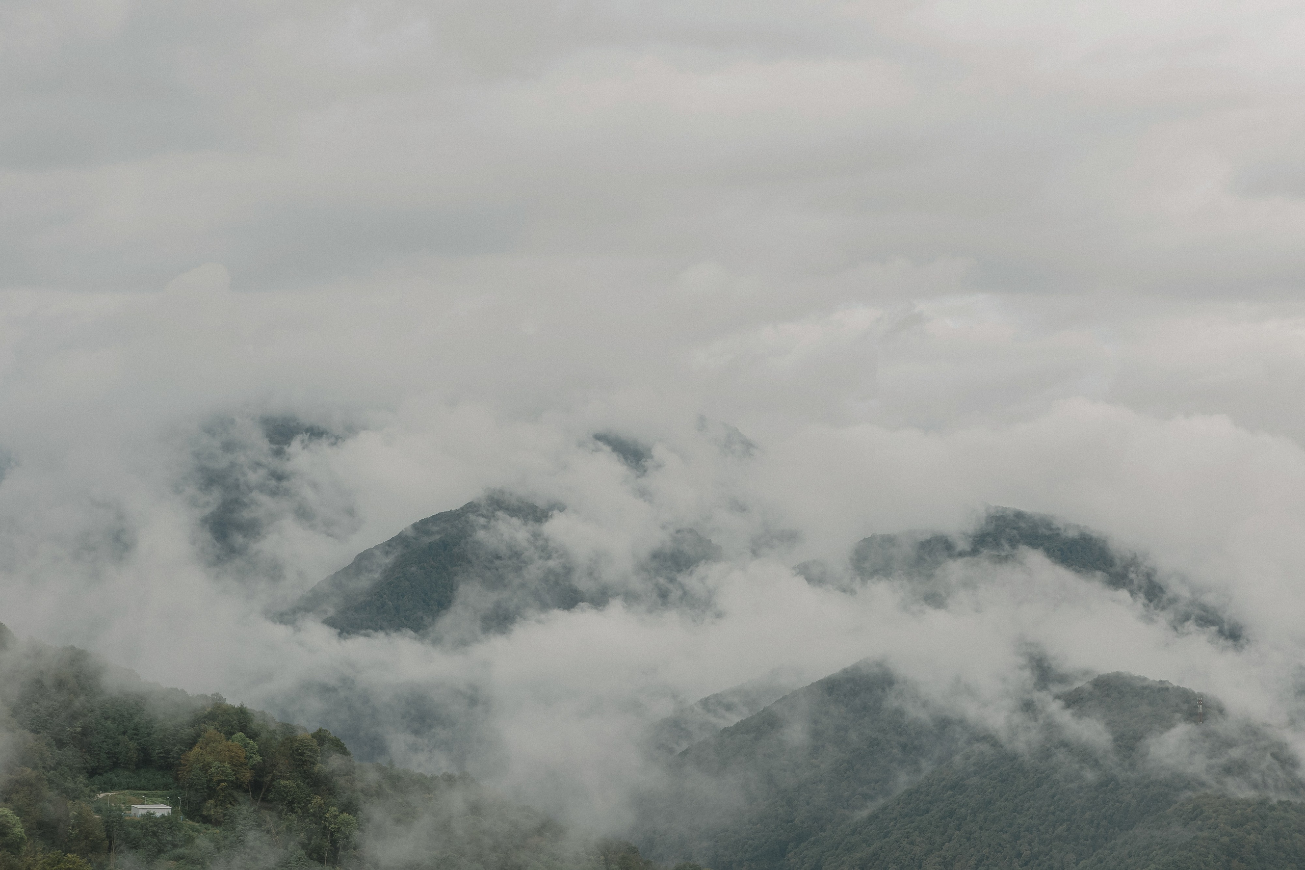 Wedding day Алексей + Аня. Свадебный фотограф Колесников Антон