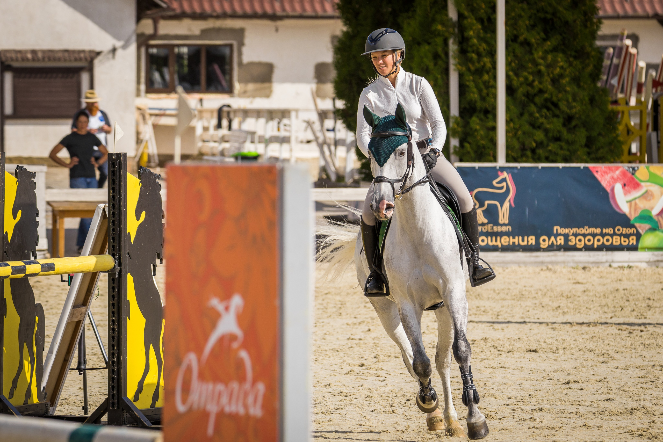 Конный спорт. Photomantis