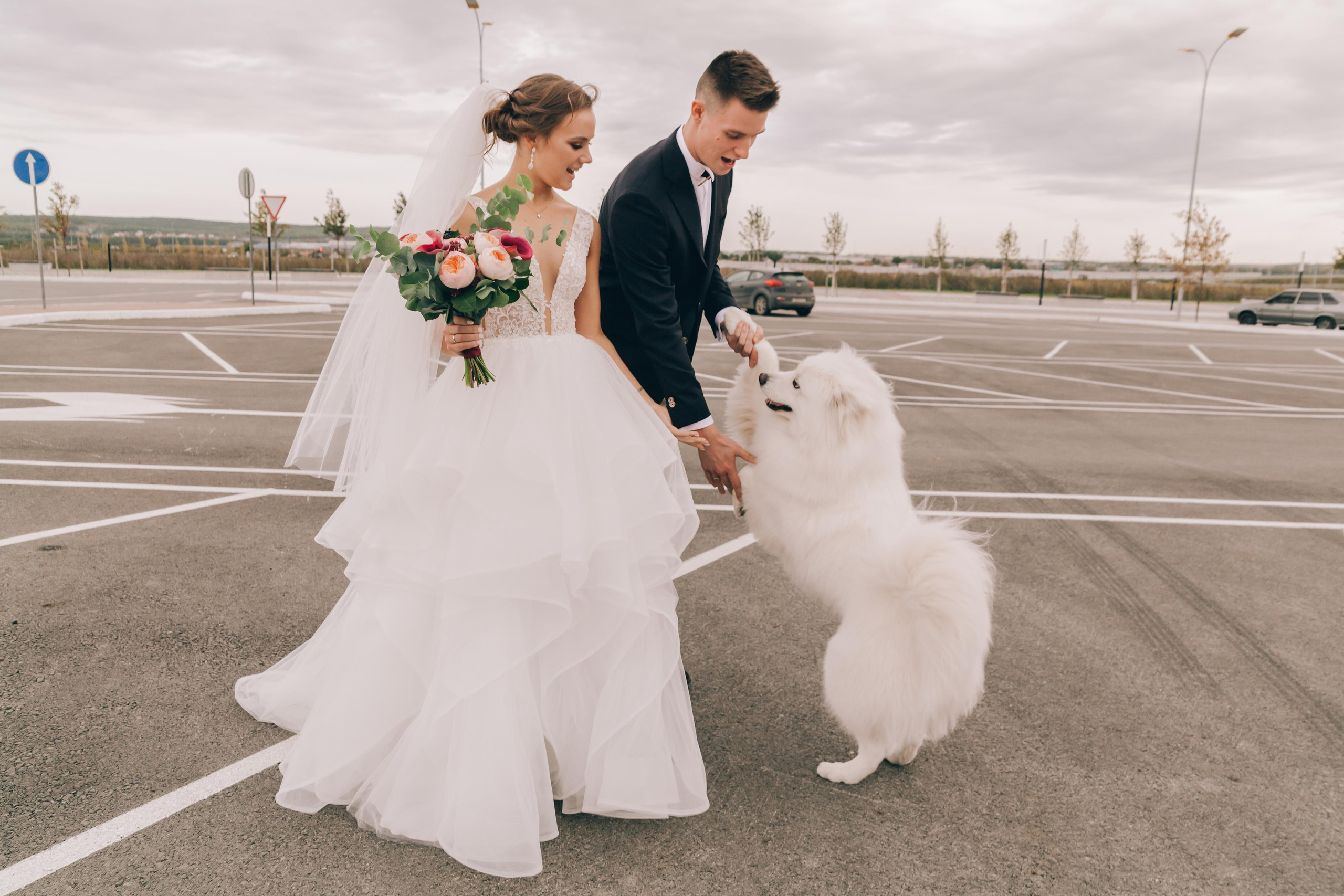 Ярослав и Анастасия. Фотограф в Екатеринбурге Аня Валенок