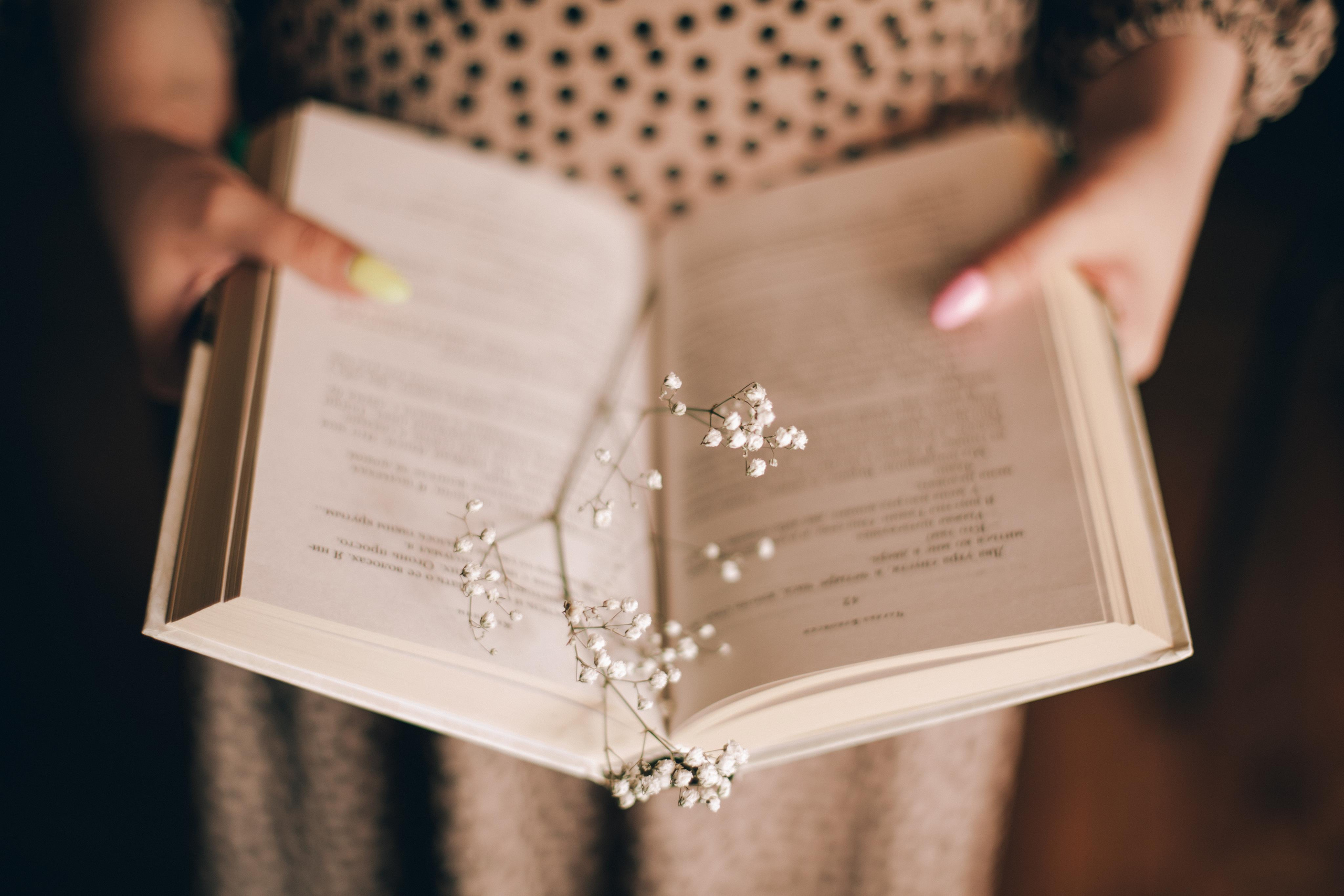 Книжный вор. Фотограф в Екатеринбурге Аня Валенок