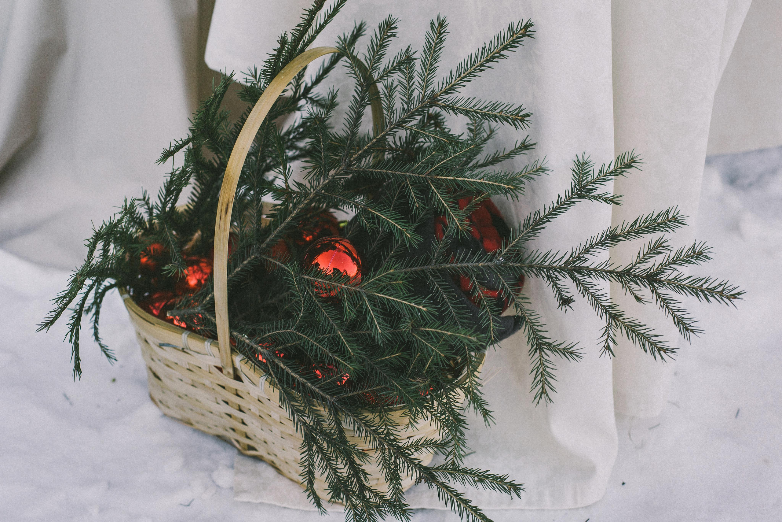 Сережа и Тома. Фотограф в Екатеринбурге Аня Валенок