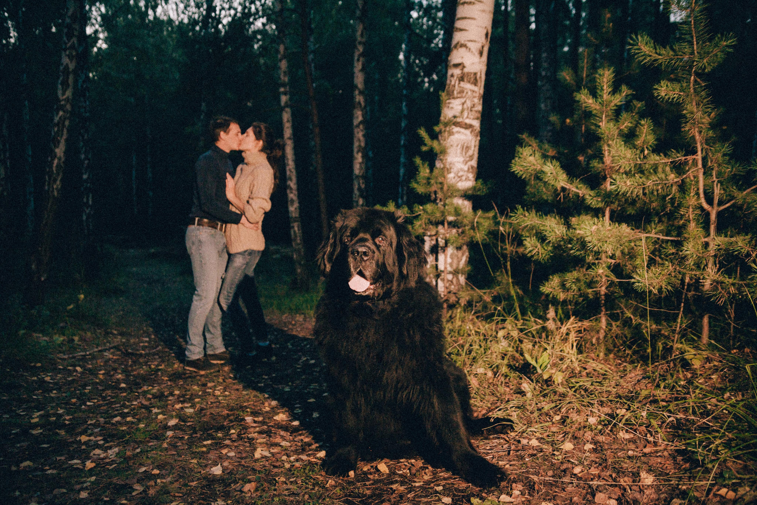 Лучший друг человека. Фотограф в Екатеринбурге Аня Валенок