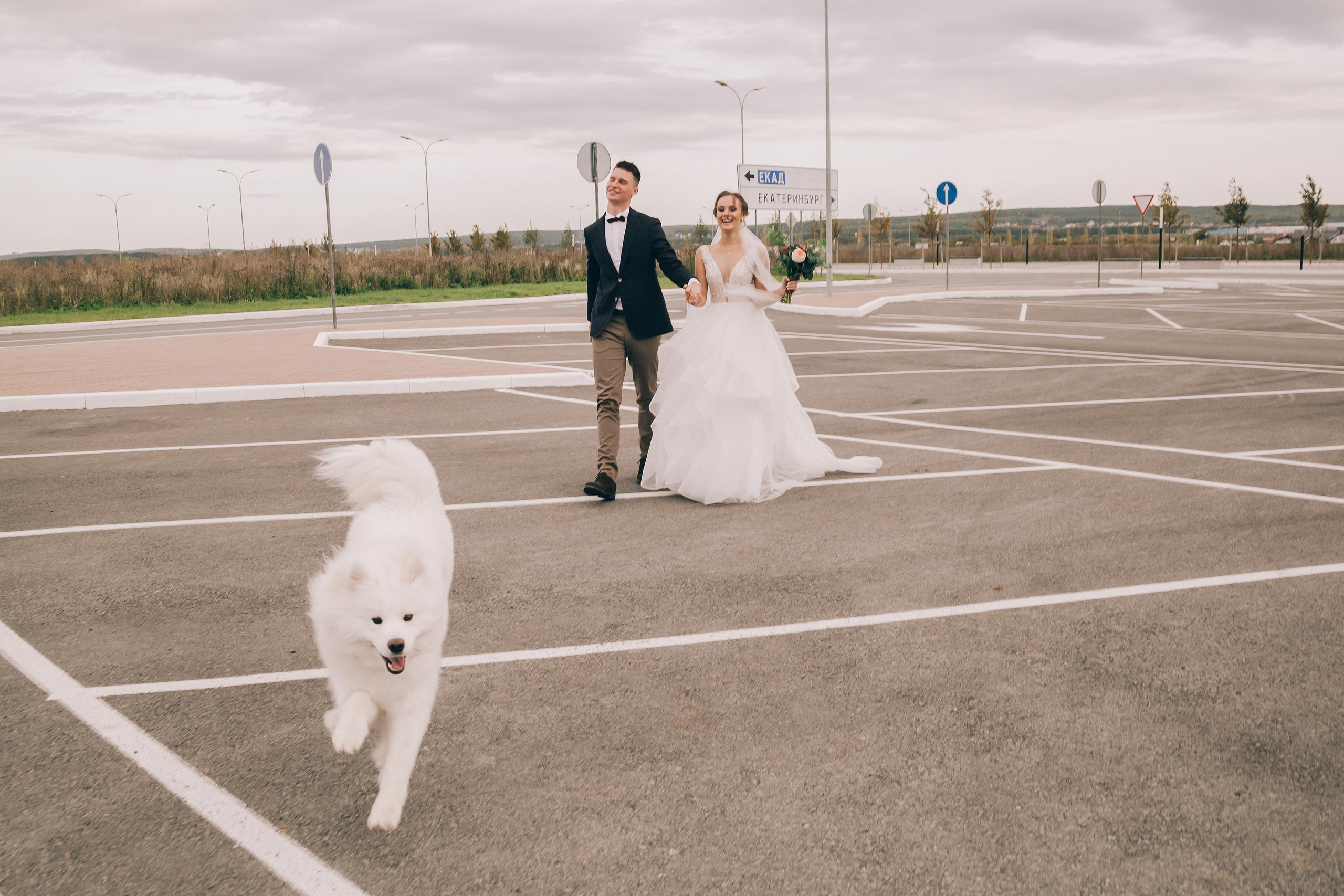 Ярослав и Анастасия. Фотограф в Екатеринбурге Аня Валенок