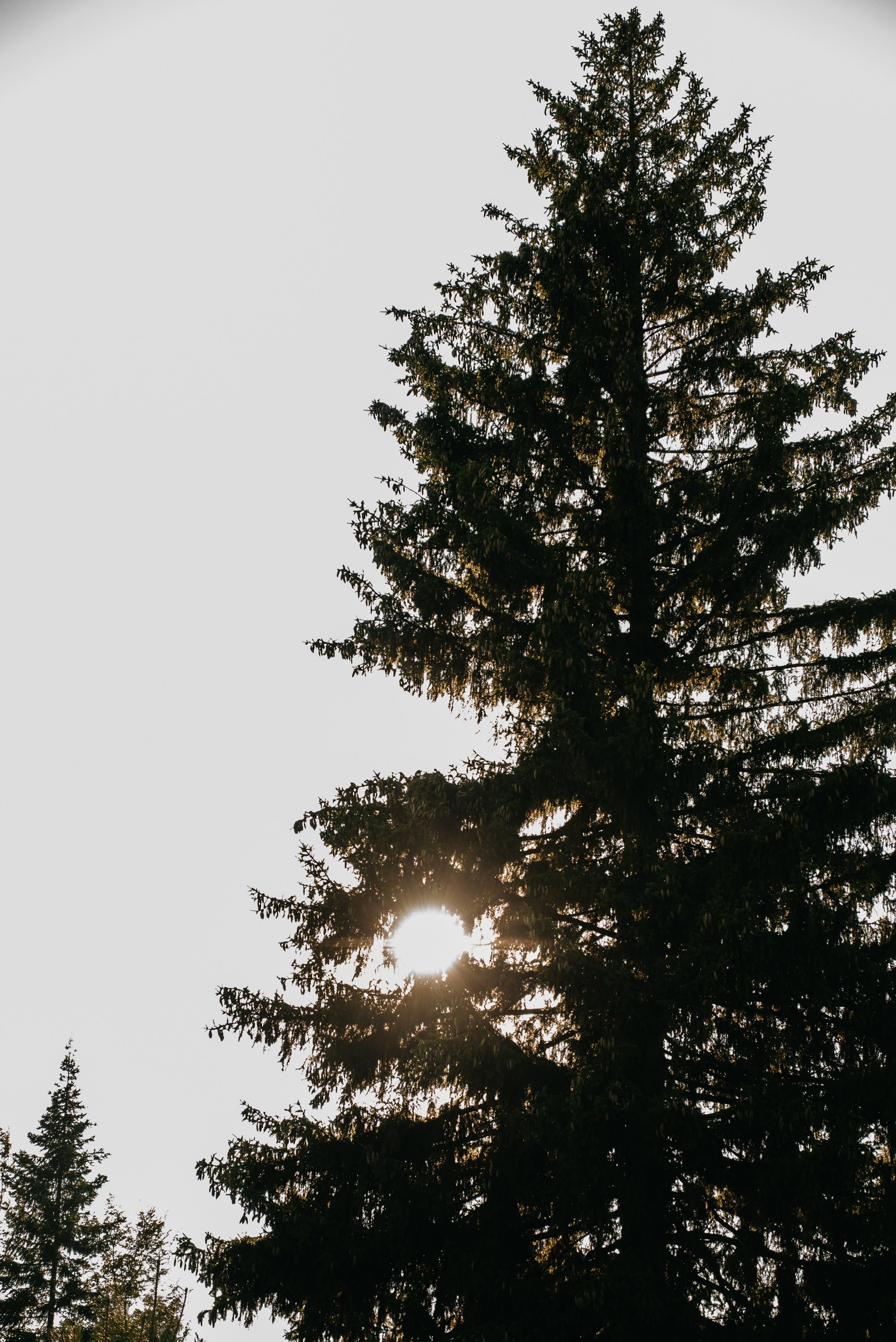 Татьяна&Илья. Свадебный фотограф Ижевск Петр Шишков