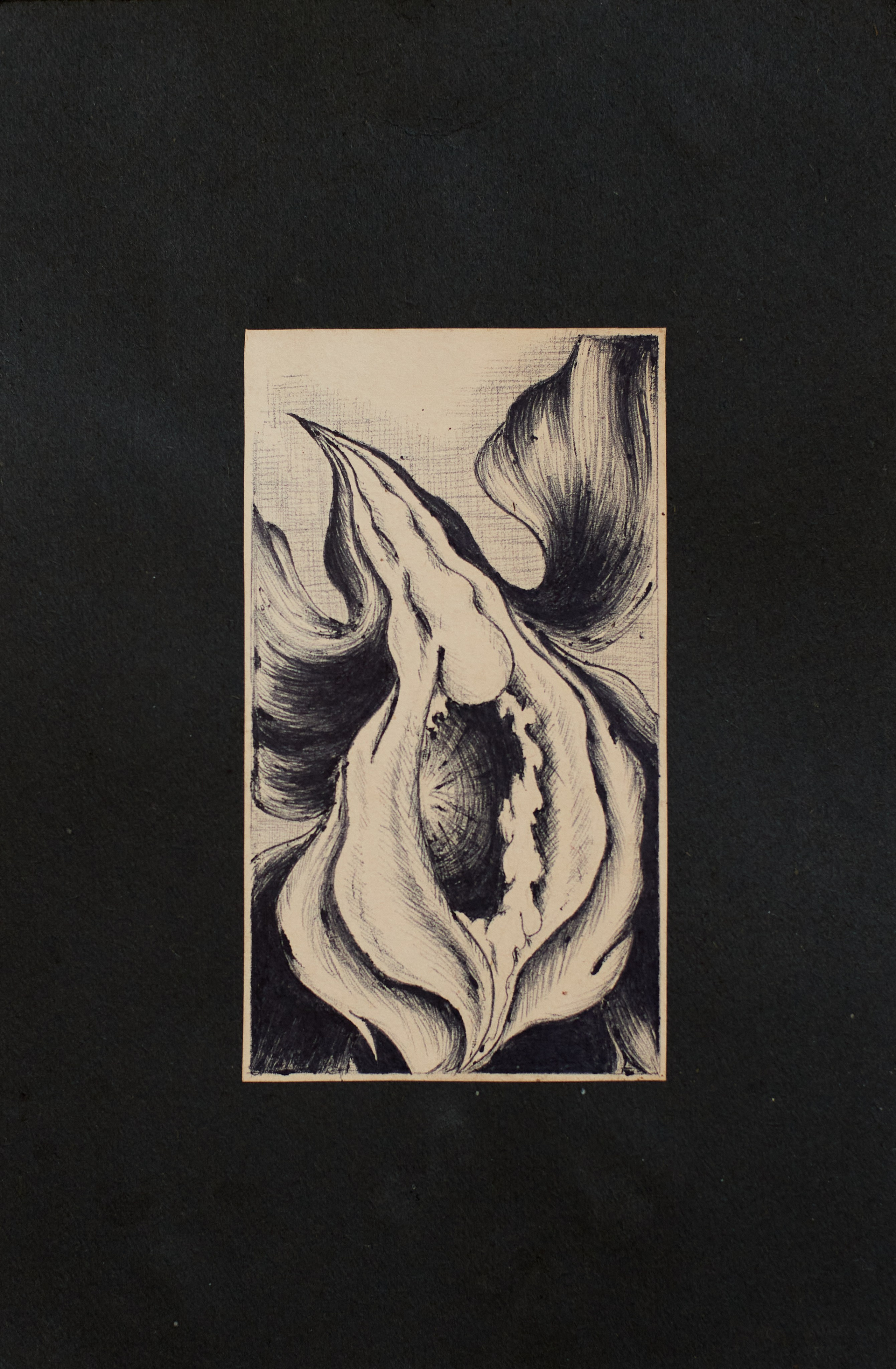 Модули. Olitron Legacy