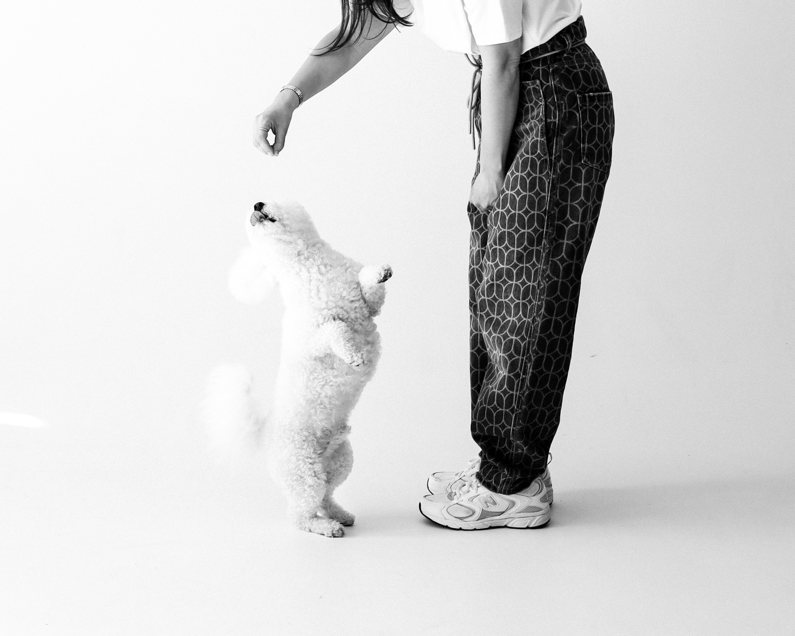 С хвостиками. Портретный фотограф в Москве. Фотосессии с собаками