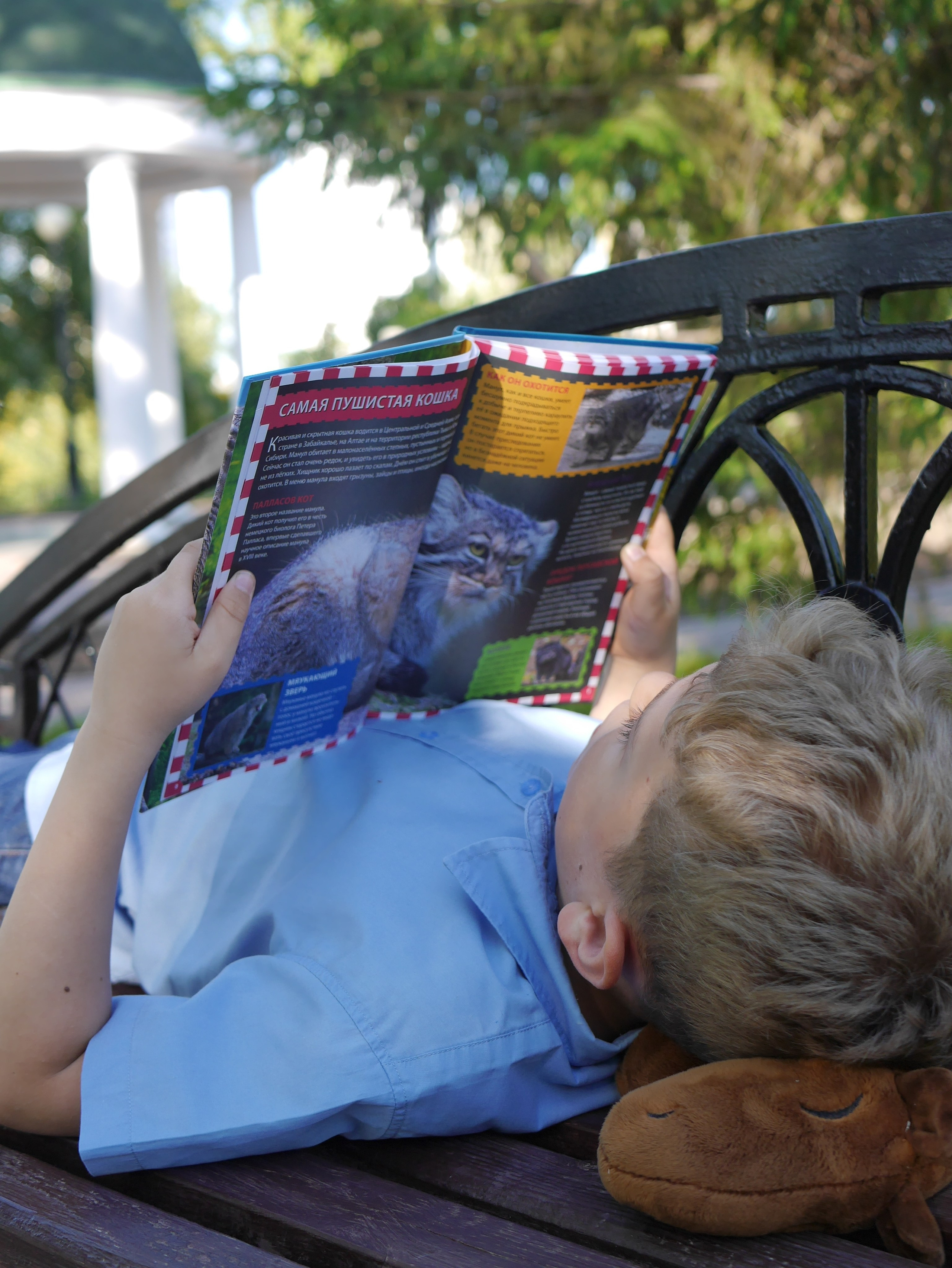 Дети в кадре