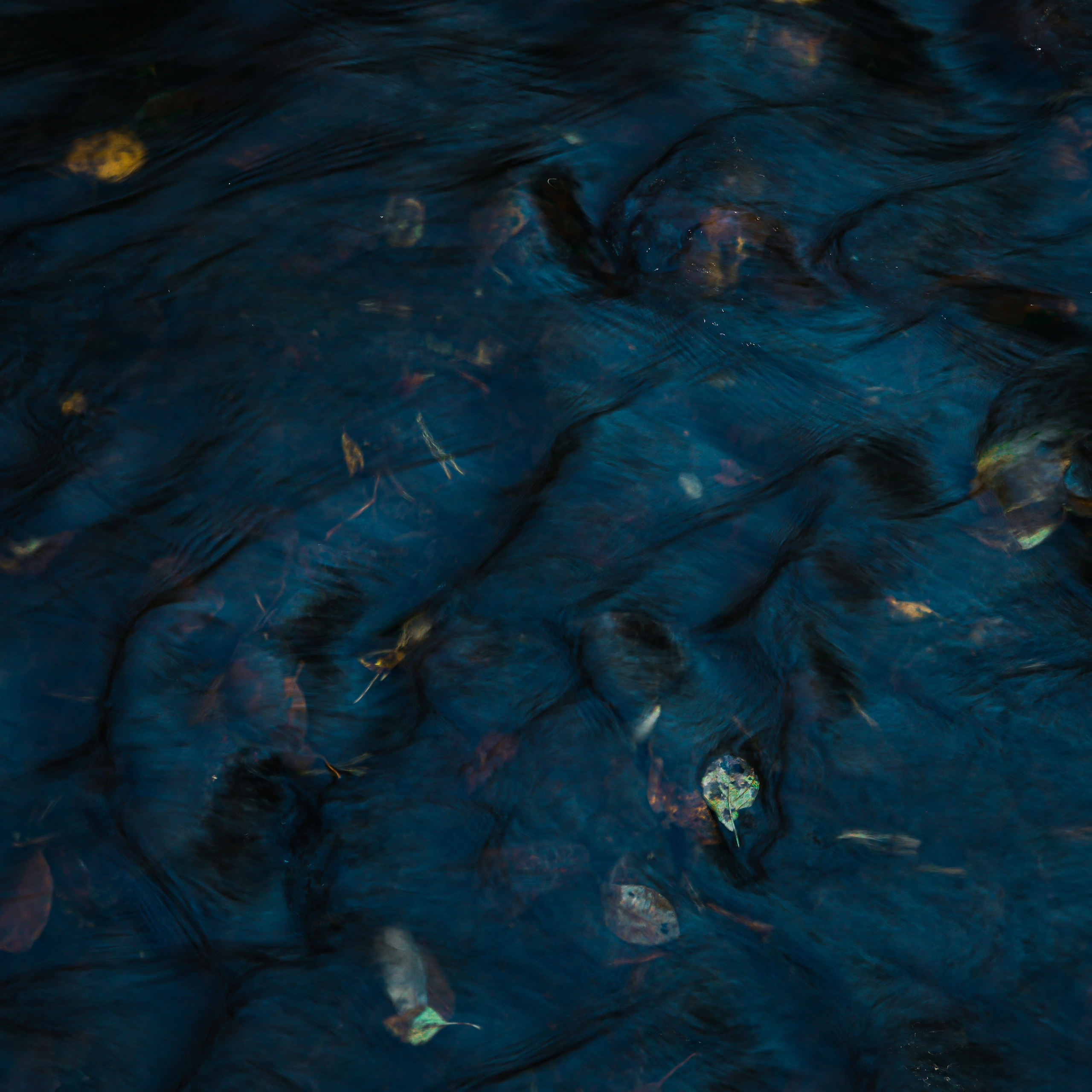 Природа &. Фотохудожник в СПб