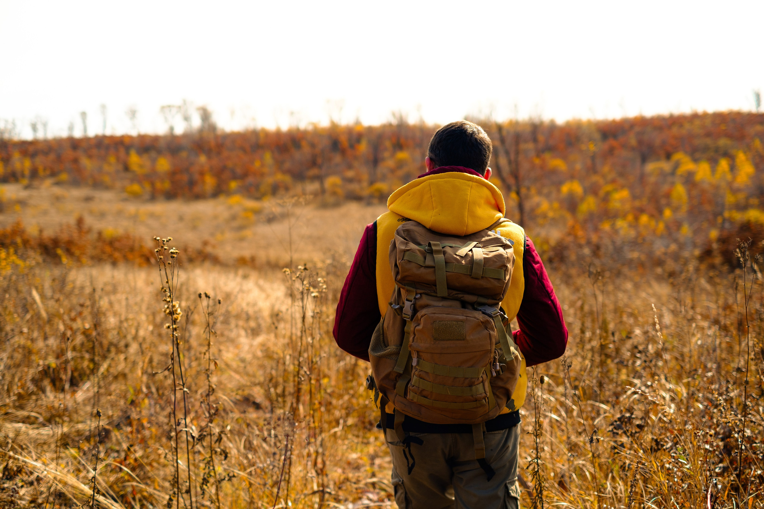 Михайловские столбы осенью. Фотограф Благовещенска Яна