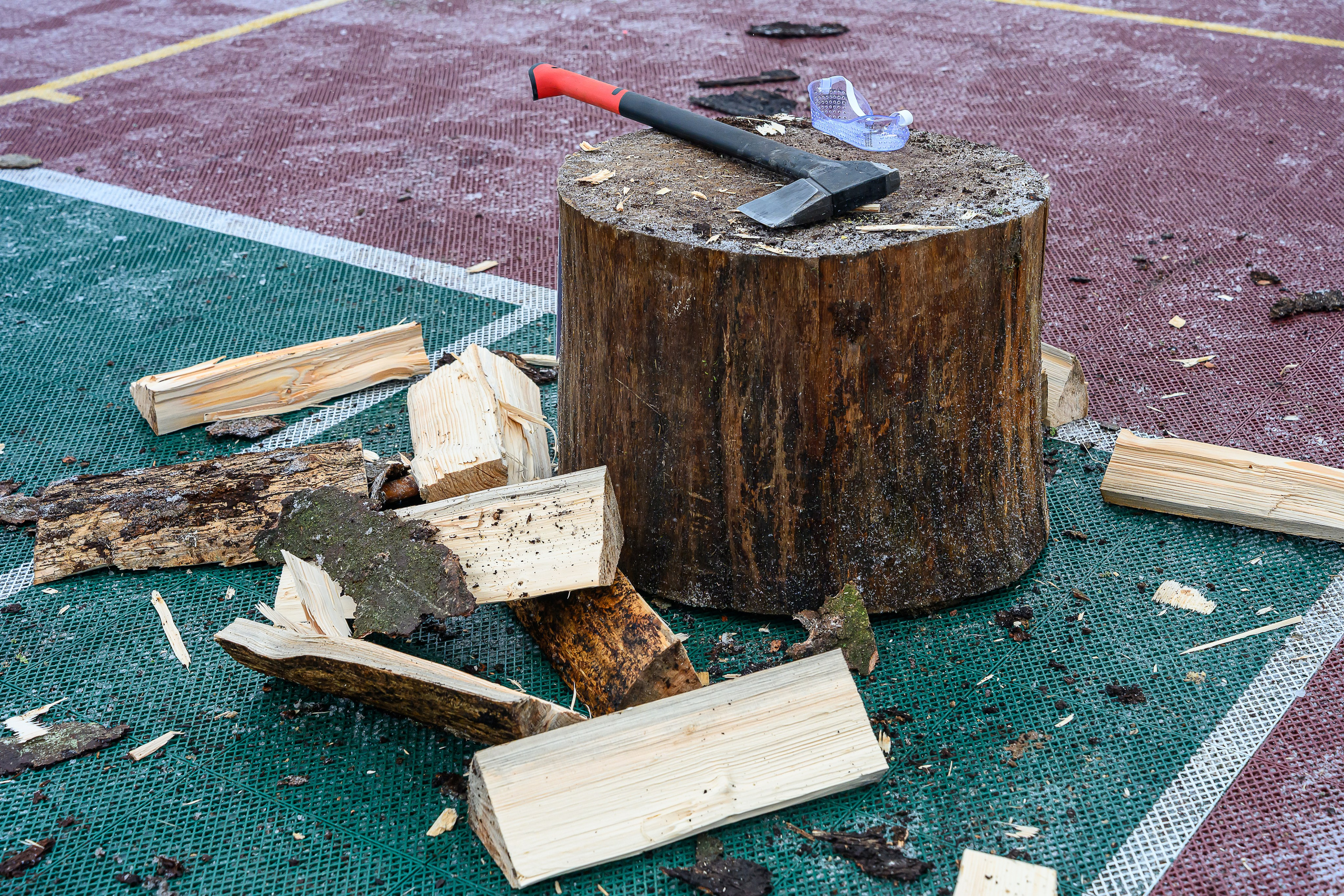 Зимняя спартакиада УД. Фотоуслуги, услуги фотографа, фотографирование важных событий