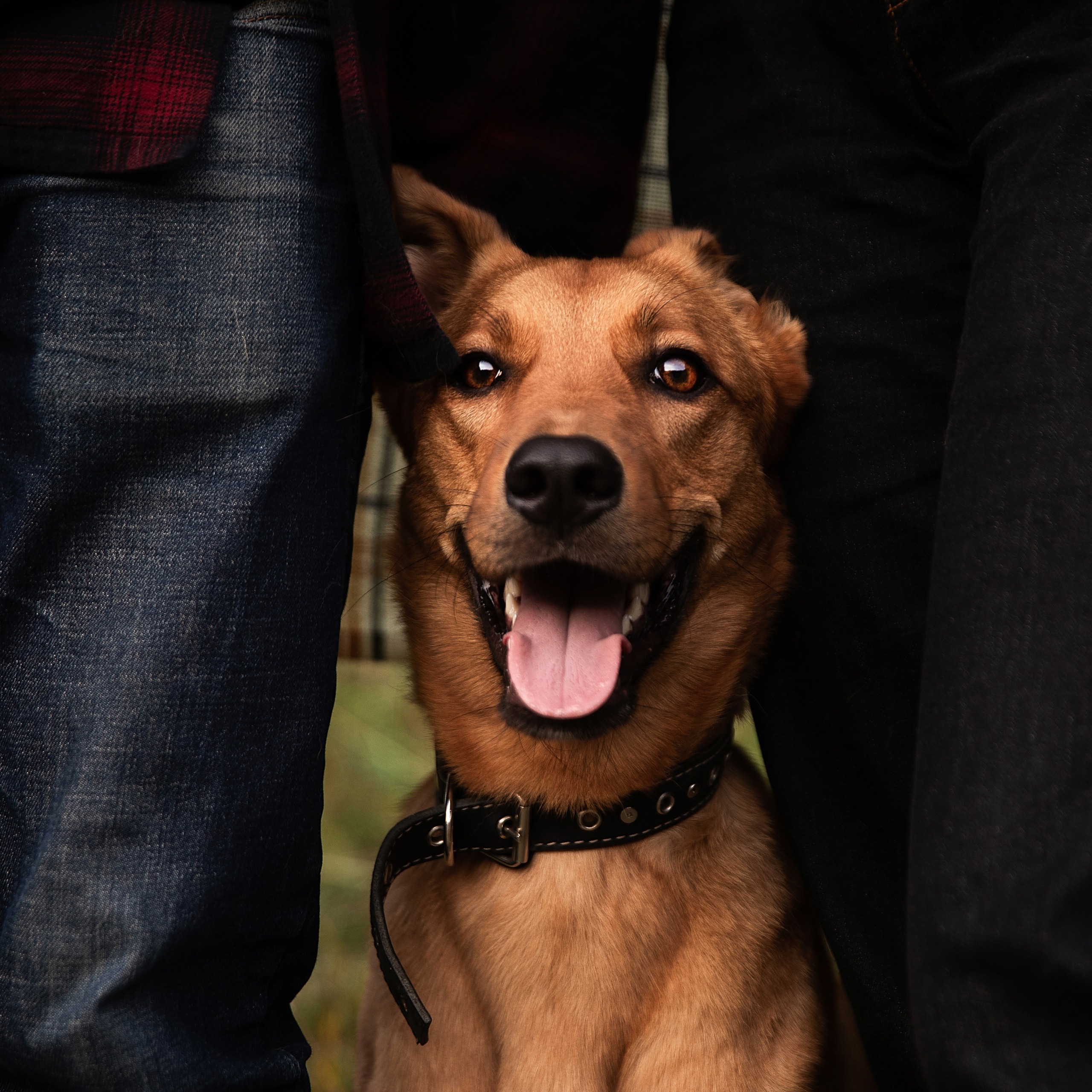 Истории. Фотограф в Москве Даша Зуева