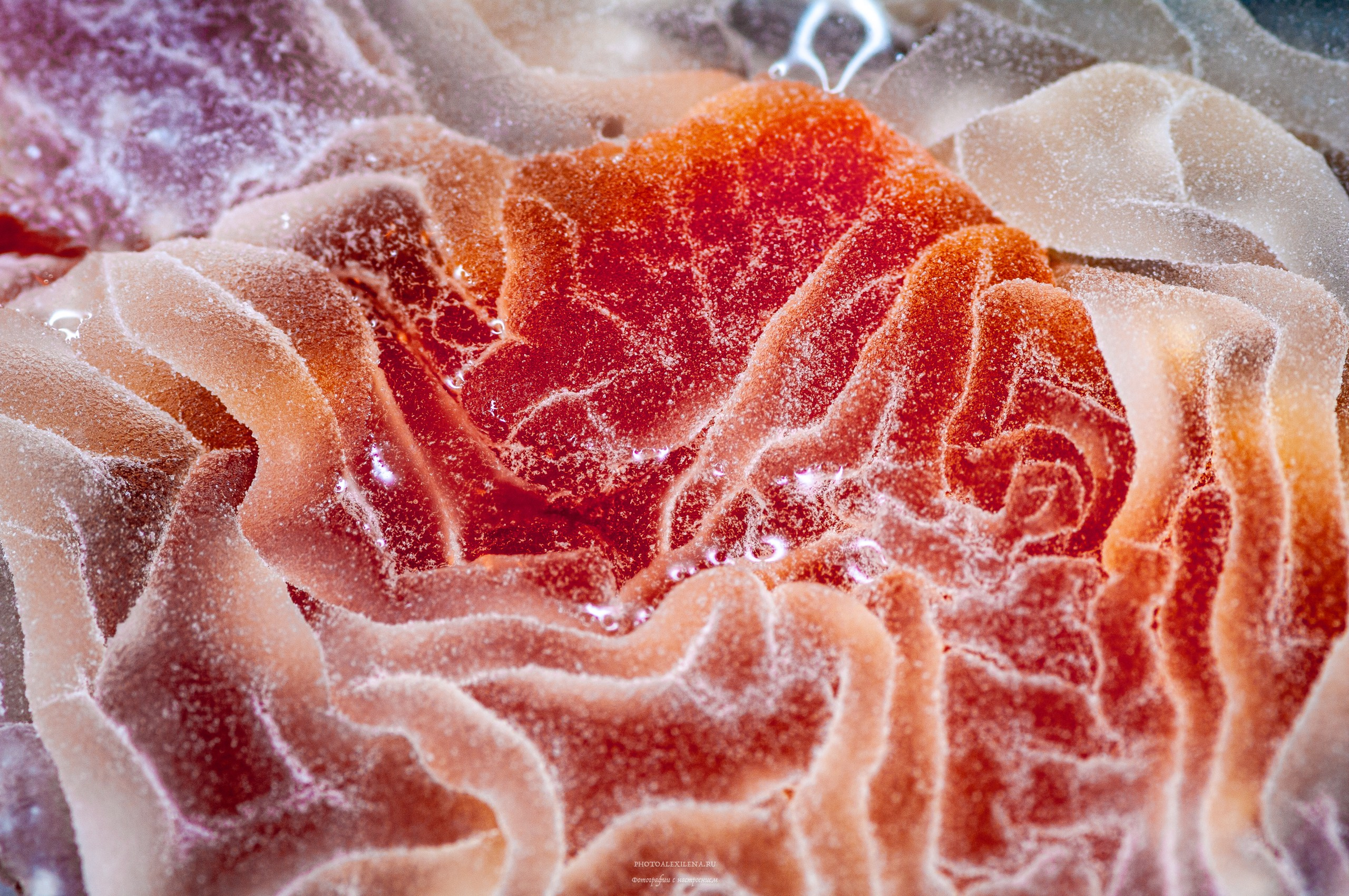 Осязаемая красота. Авторские стильные фотокартины