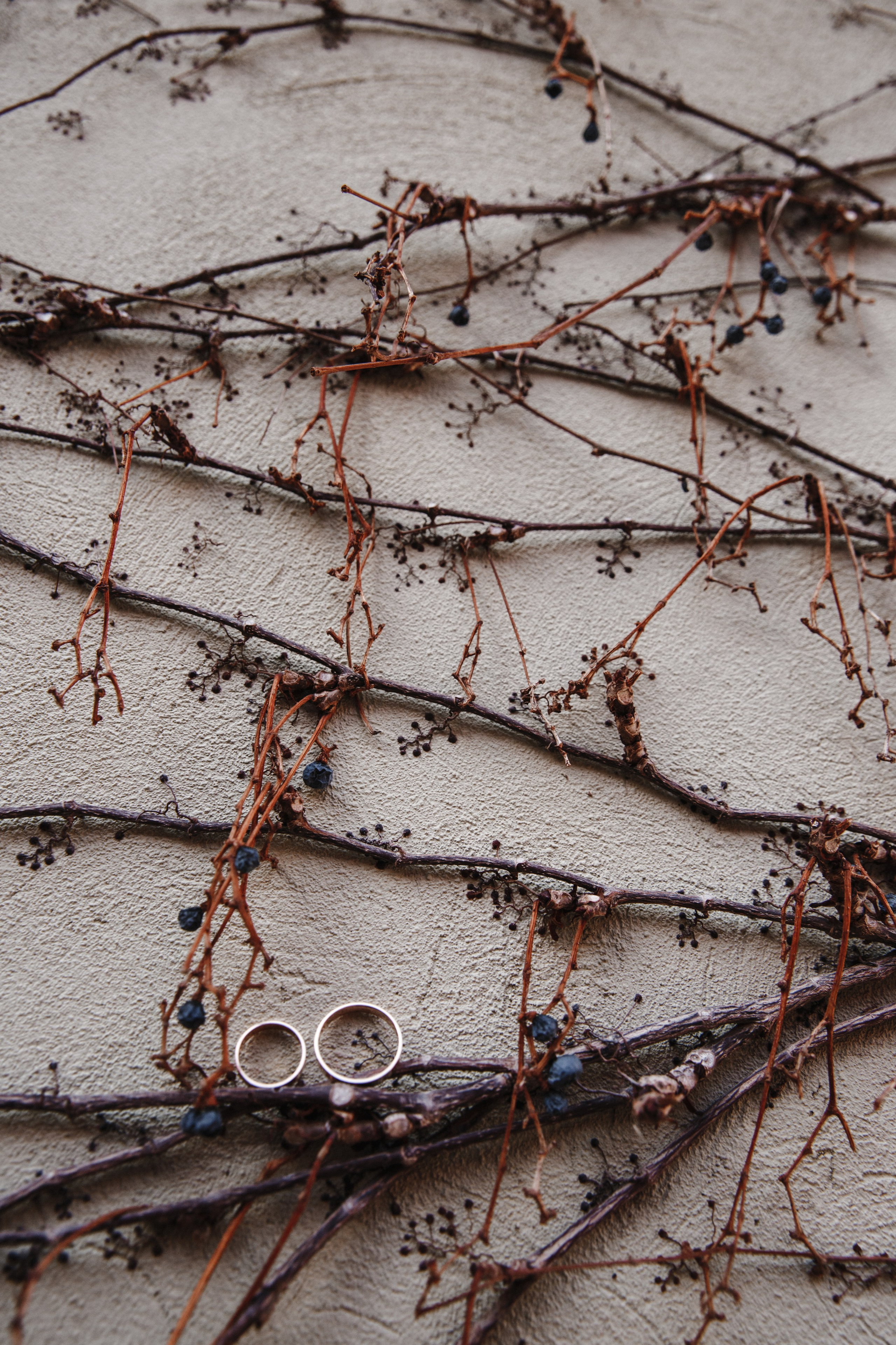 Свадьбы. Свадебный и семейный фотограф в Ростове-на-Дону Кирилл Дементьев