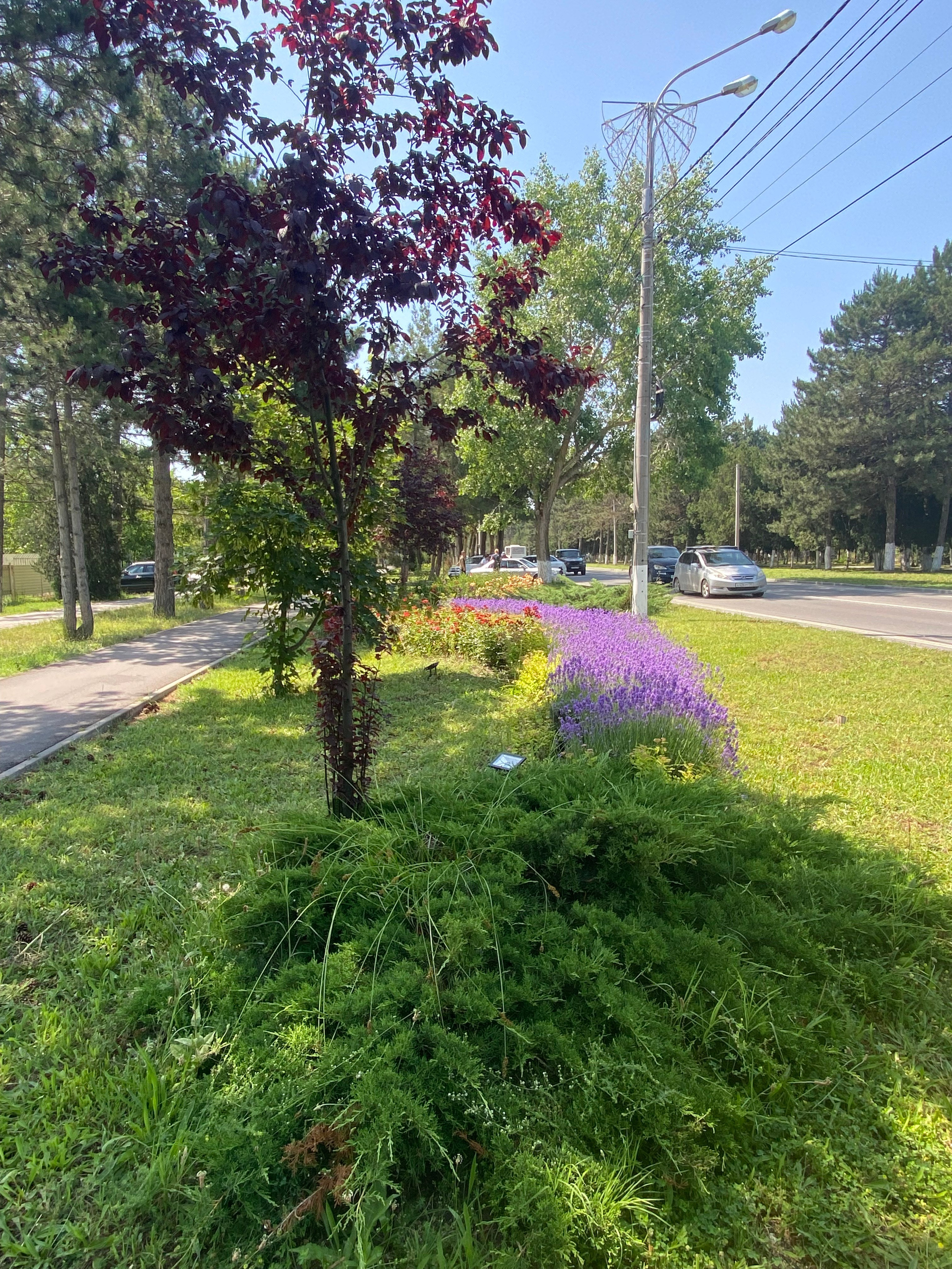 Пляжный поселок — 21. Своя Мастерская