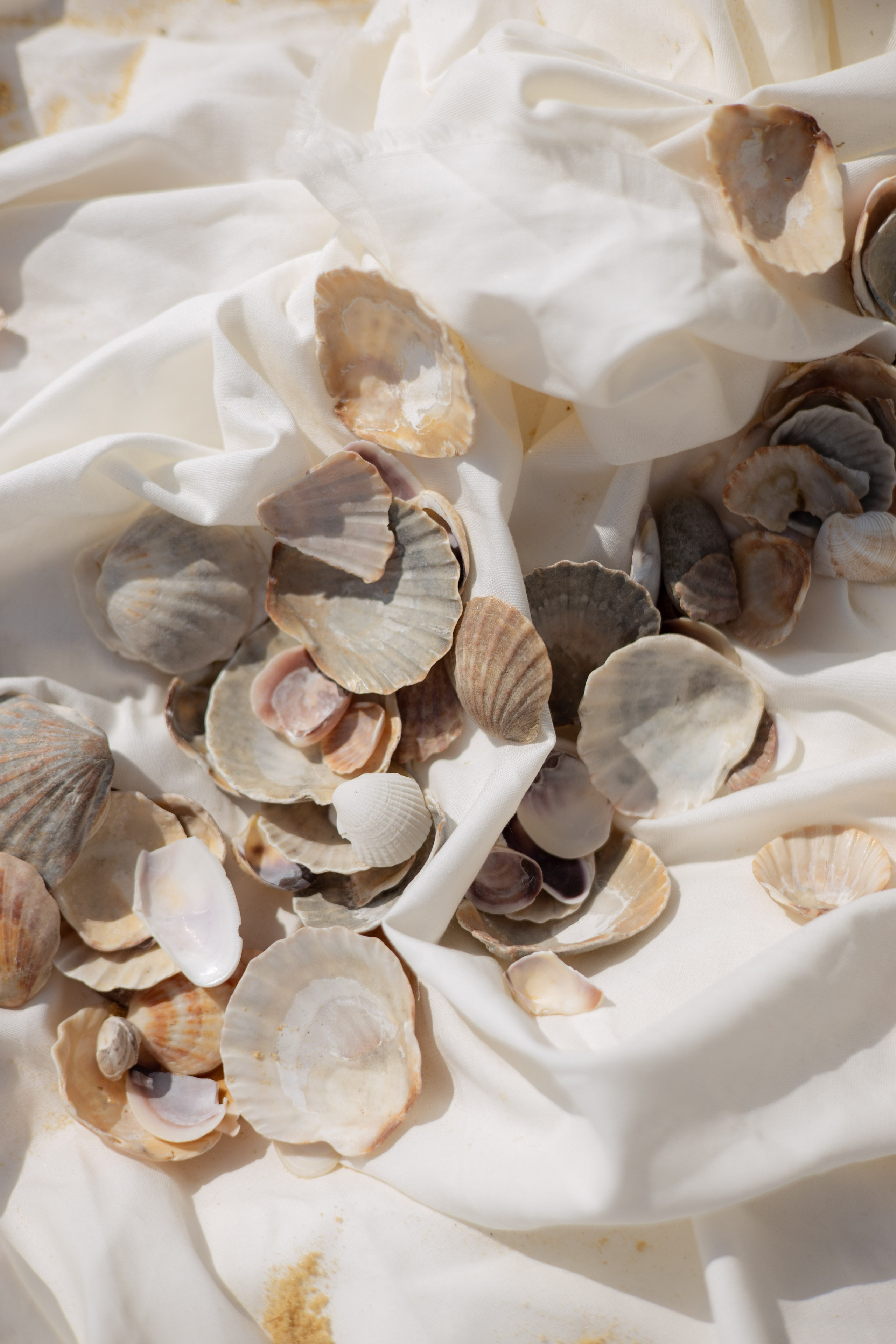 Пляж. Оформление свадеб, декор свадеб Вера Маркова, Москва